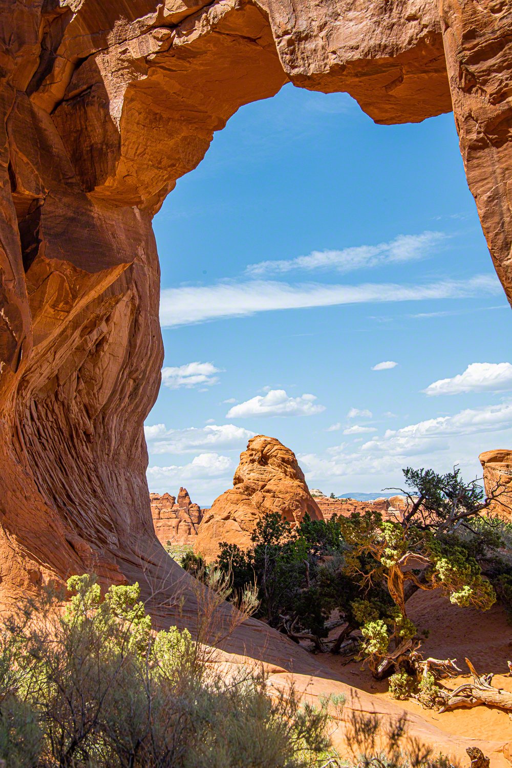 Arches National Park, Moab, Utah