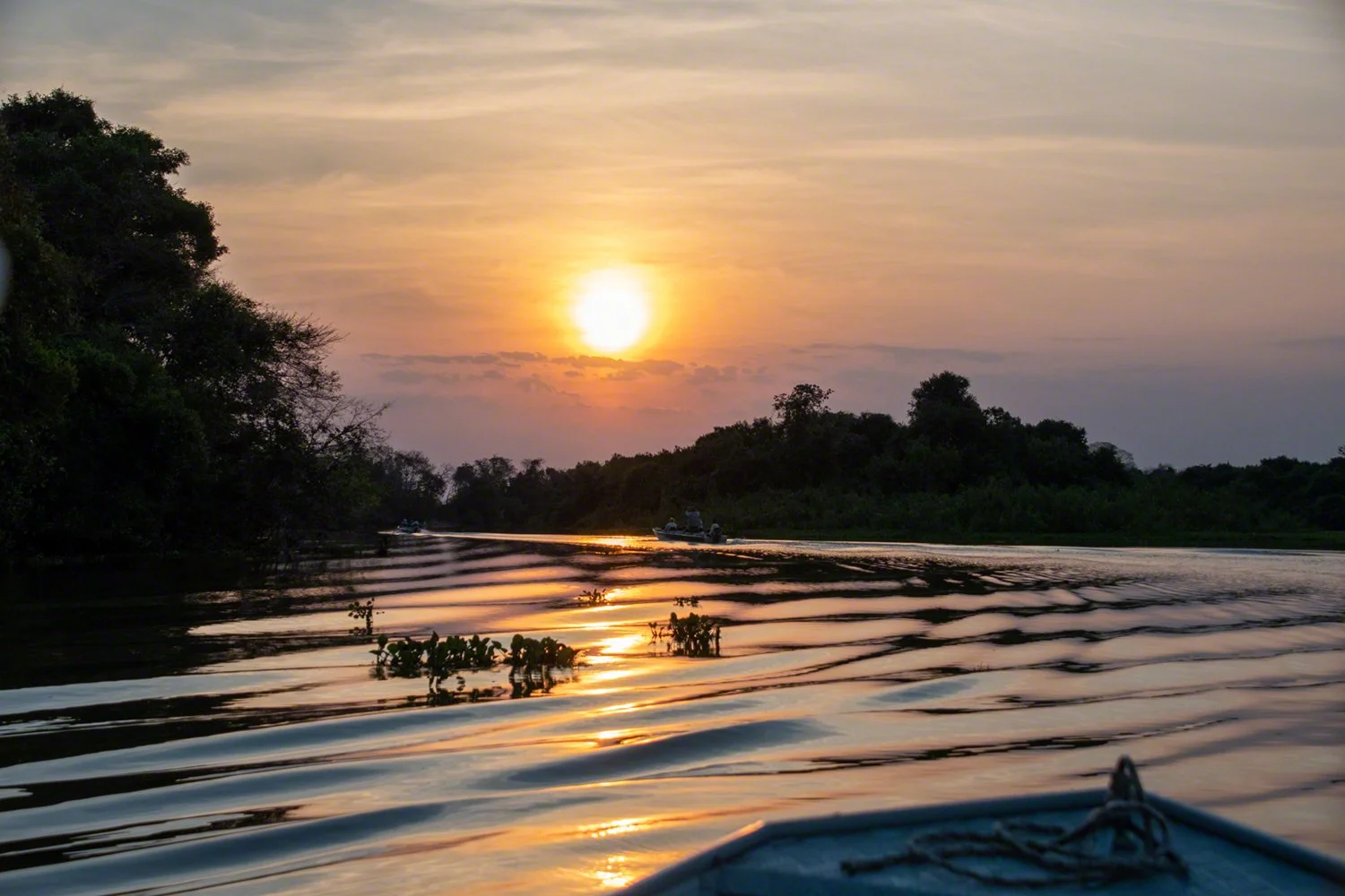 2019-09-06--Brazil--Pousada_Rio_Claro-Cuiabá_River_sunset_WM.jpg