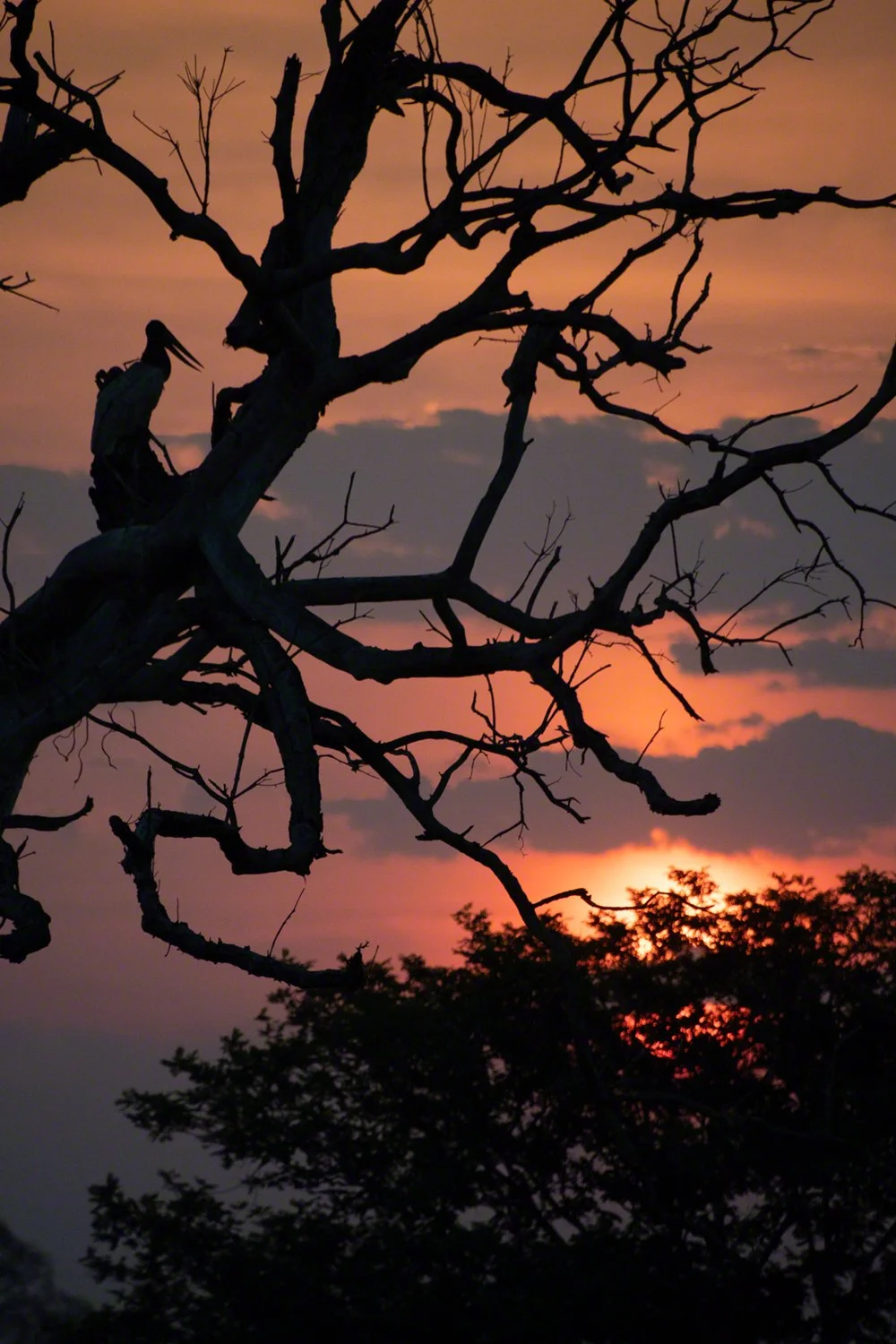 2019-09-06--Brazil--Pousada_Rio_Claro-Sunset_1_WM.jpg