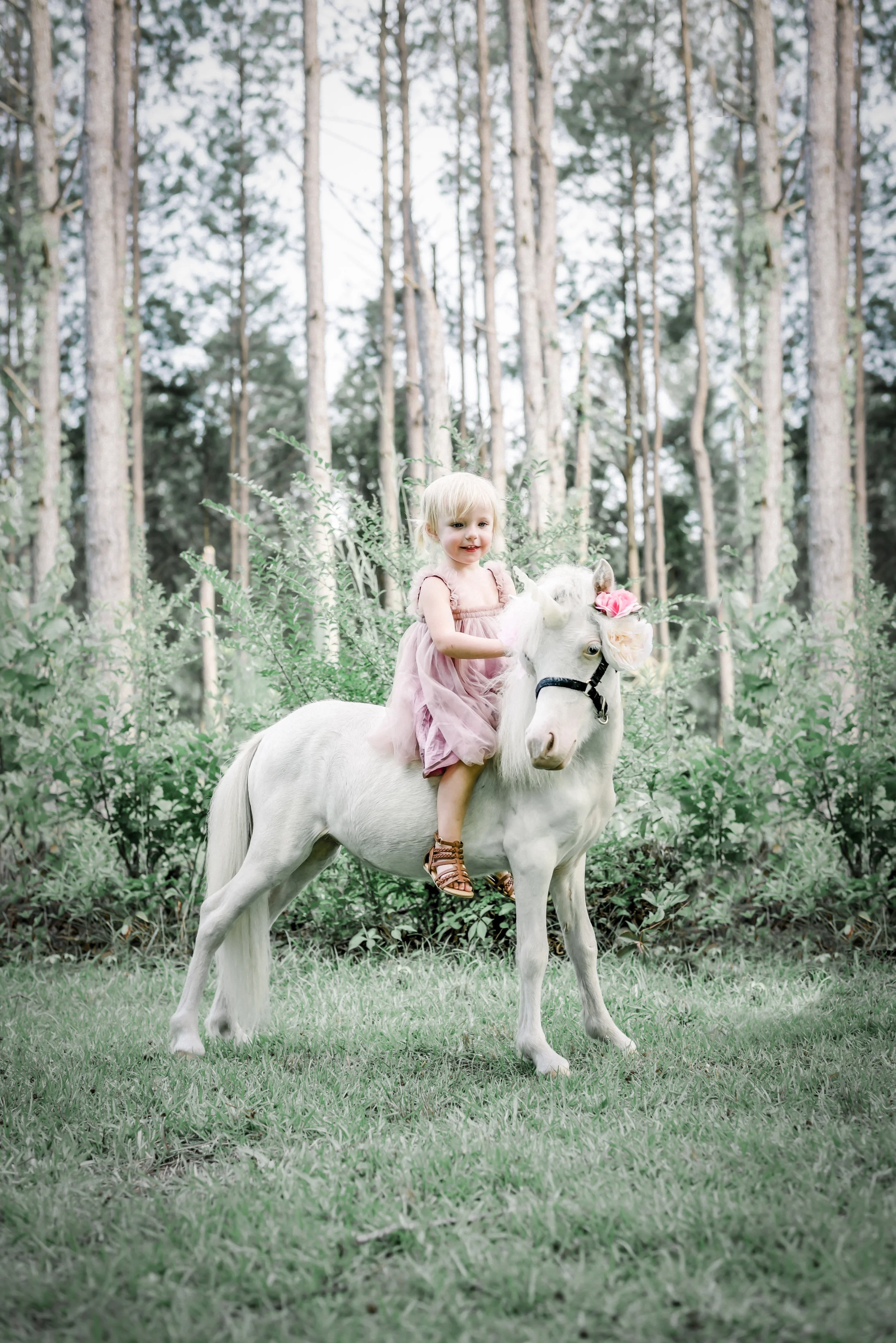 Unicorn Sessions