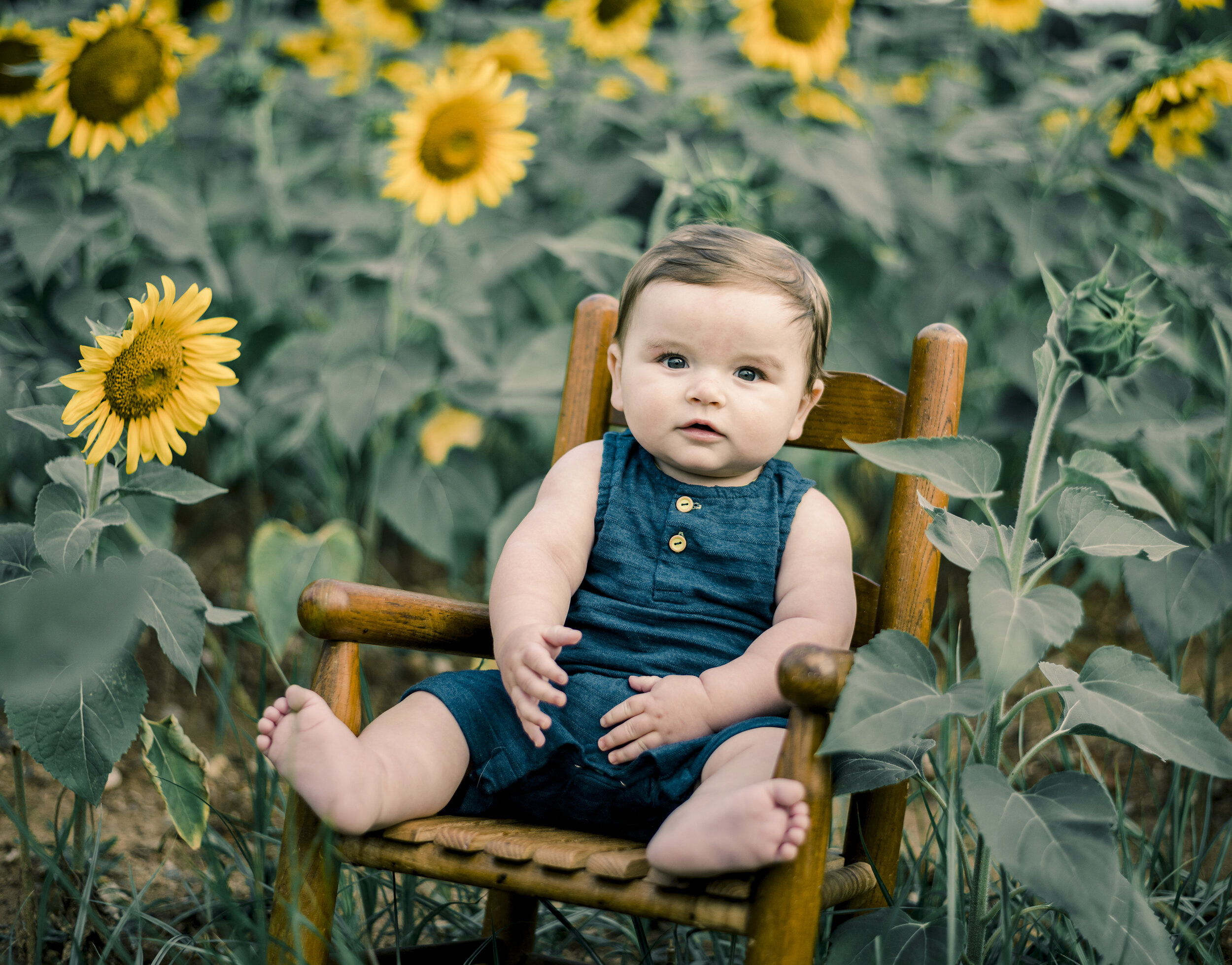 Logan Sunflowers 40.2.jpg