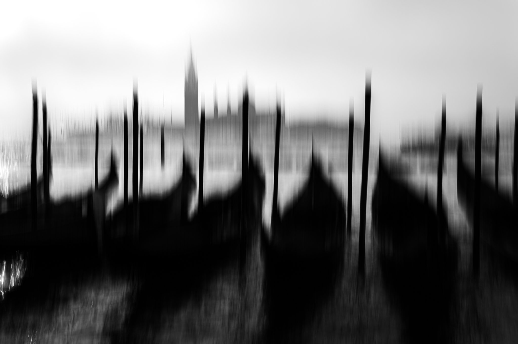 L1010876.jpg