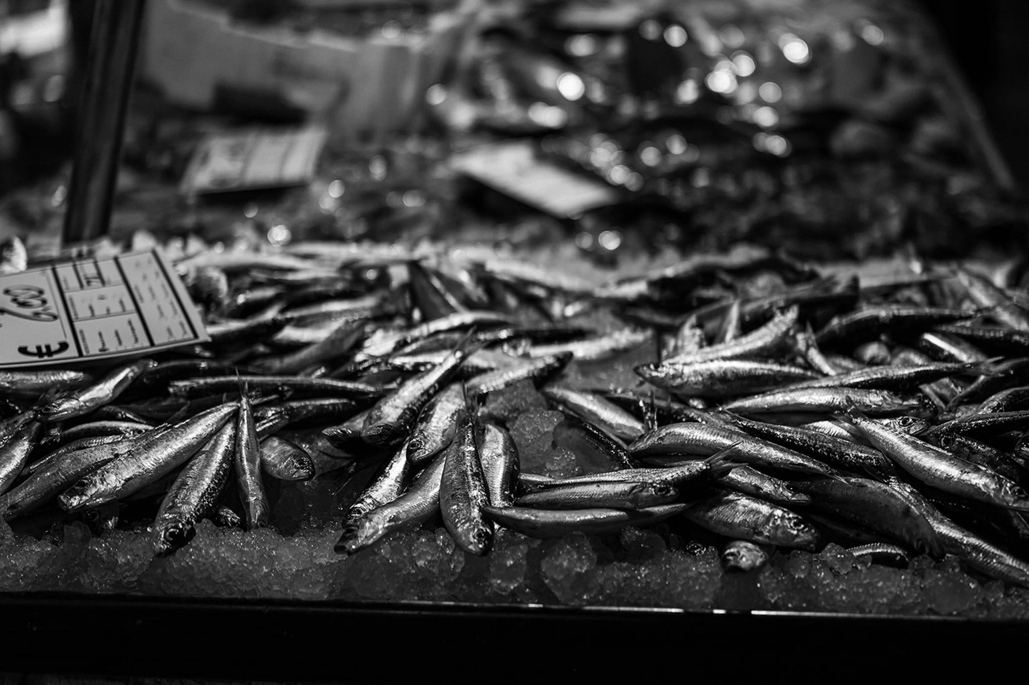 Venice_street_photography_workshop_0517.jpg