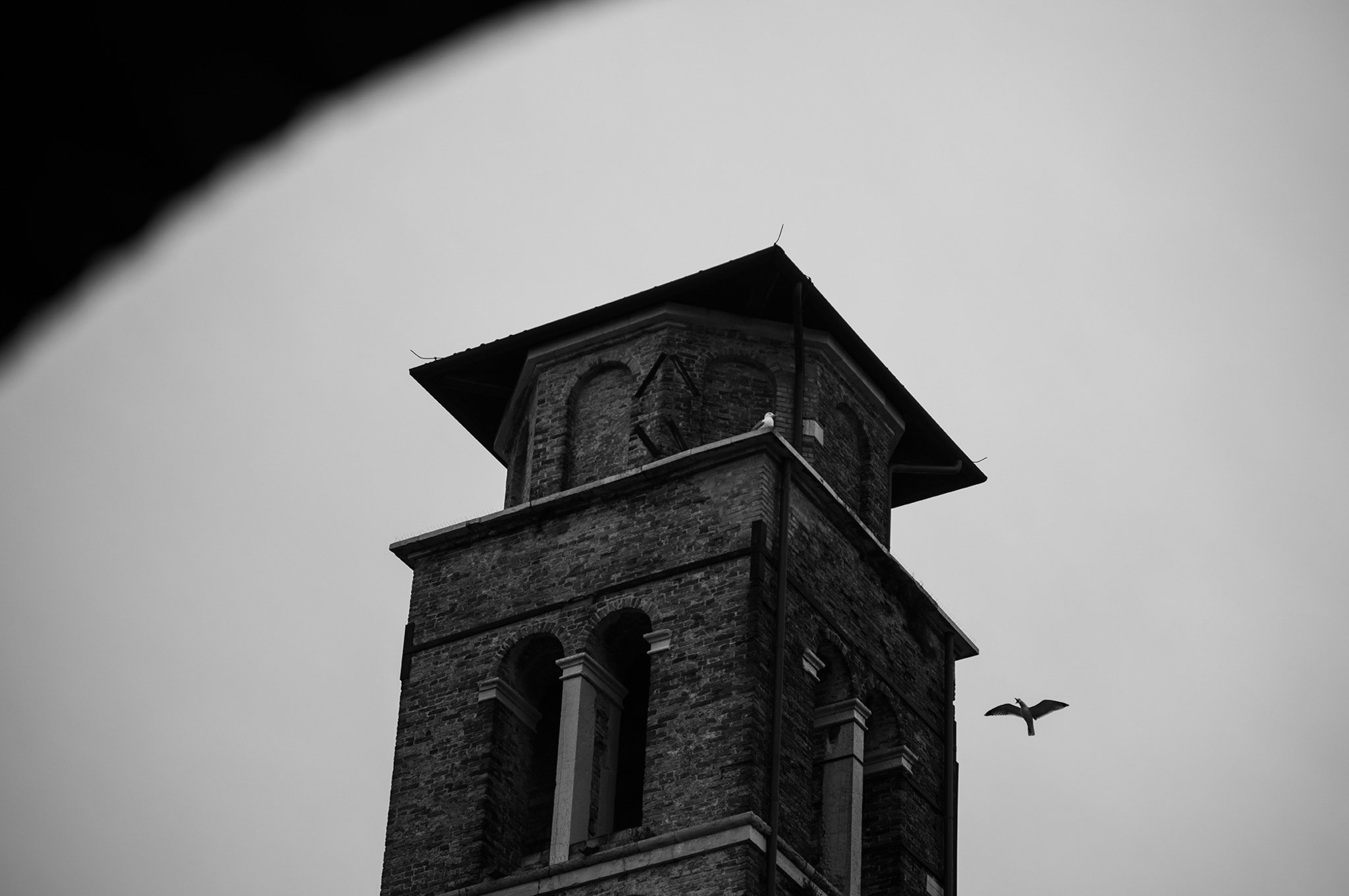 Venice_street_photography_workshyop_2024_1347.jpg
