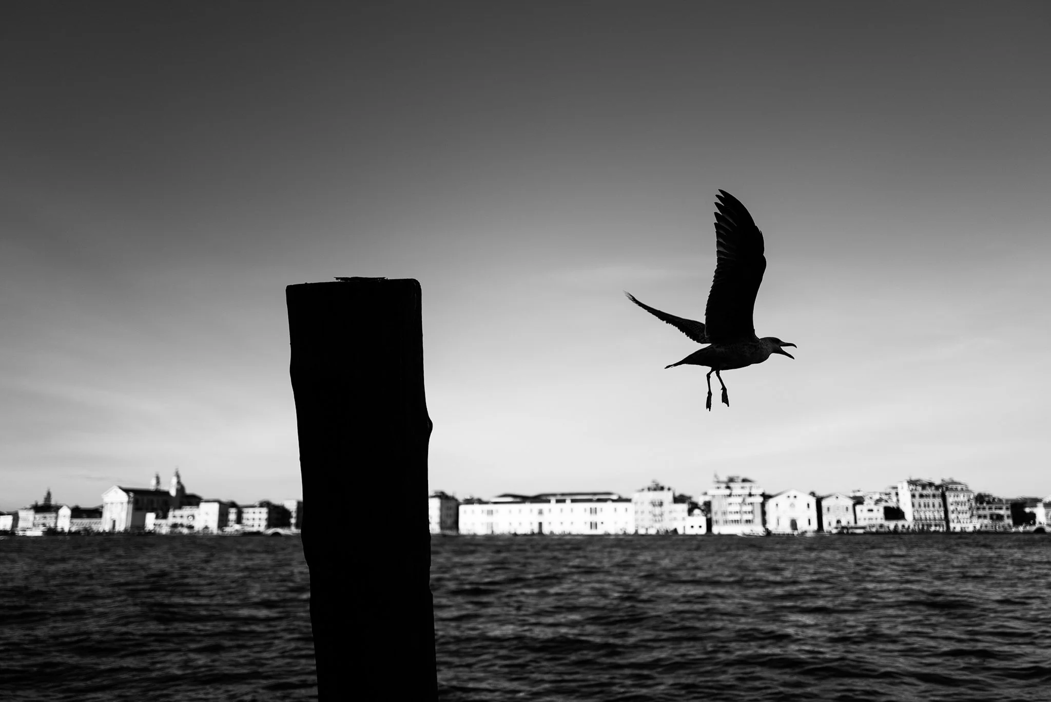 Monochrome_Street_Photography_Venice_0921.jpg