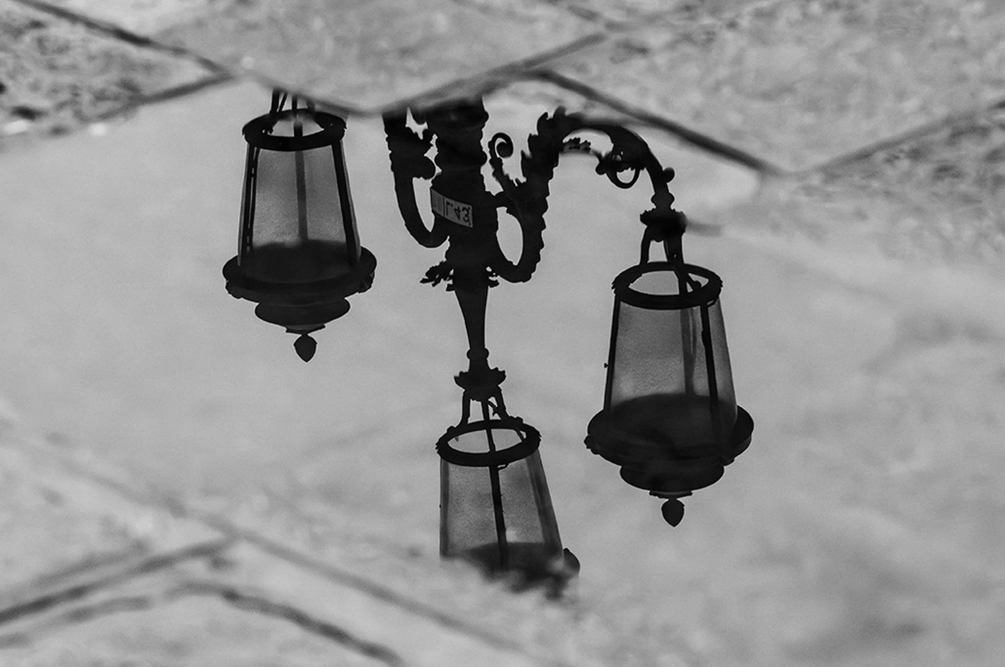 Venice_photography_workshyop_2024_0230-Enhanced-NR.jpg