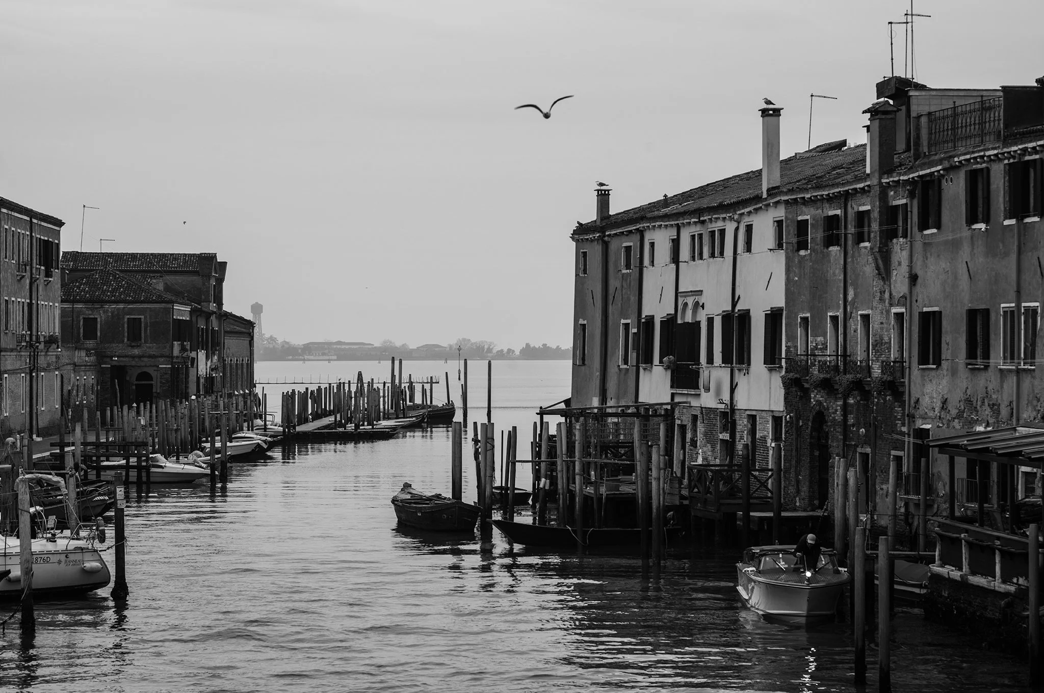 Venice_street_photography_workshyop_2024_1319.jpg