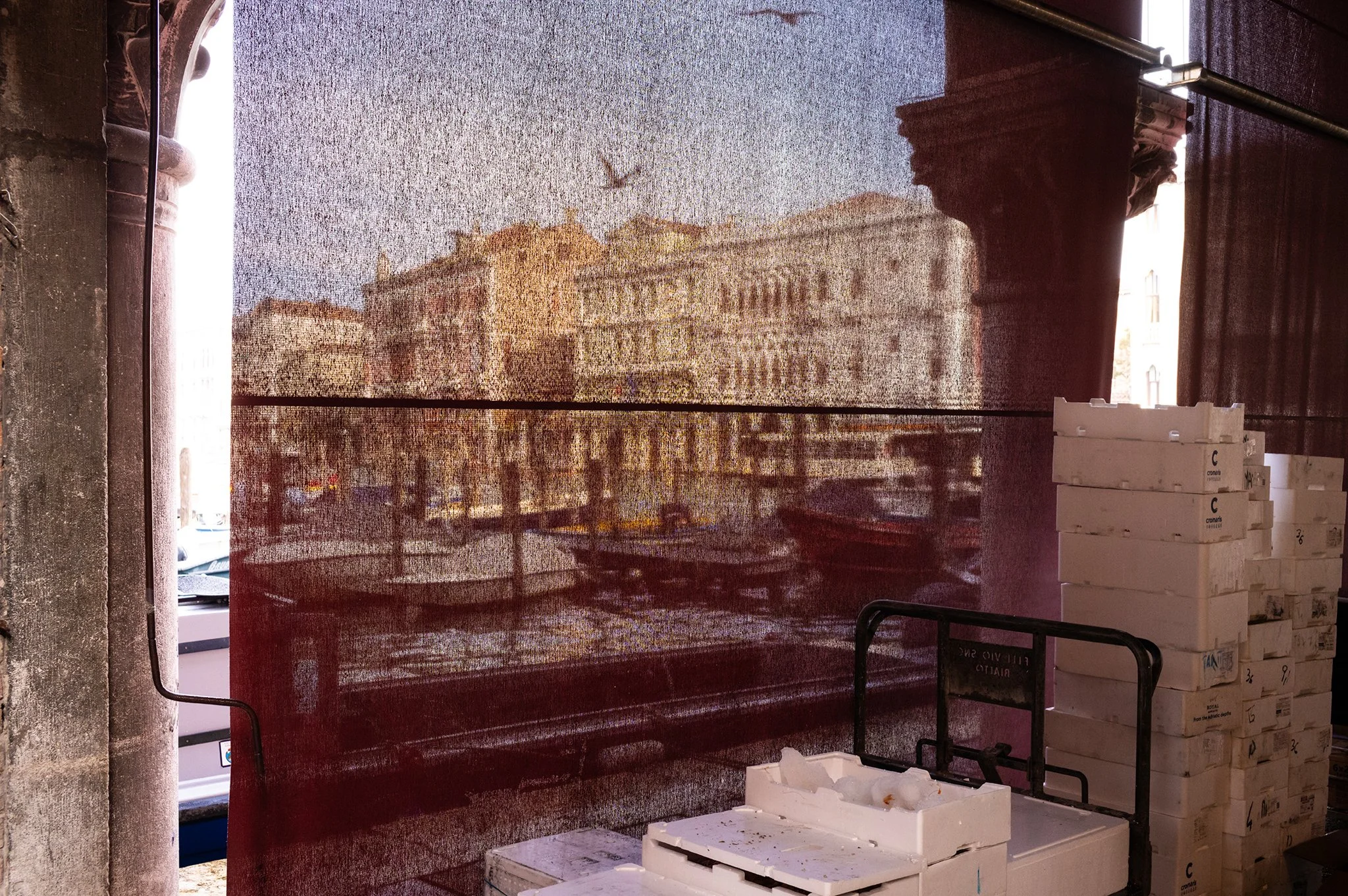 Venice_street_photography_workshyop_2024_1489.jpg