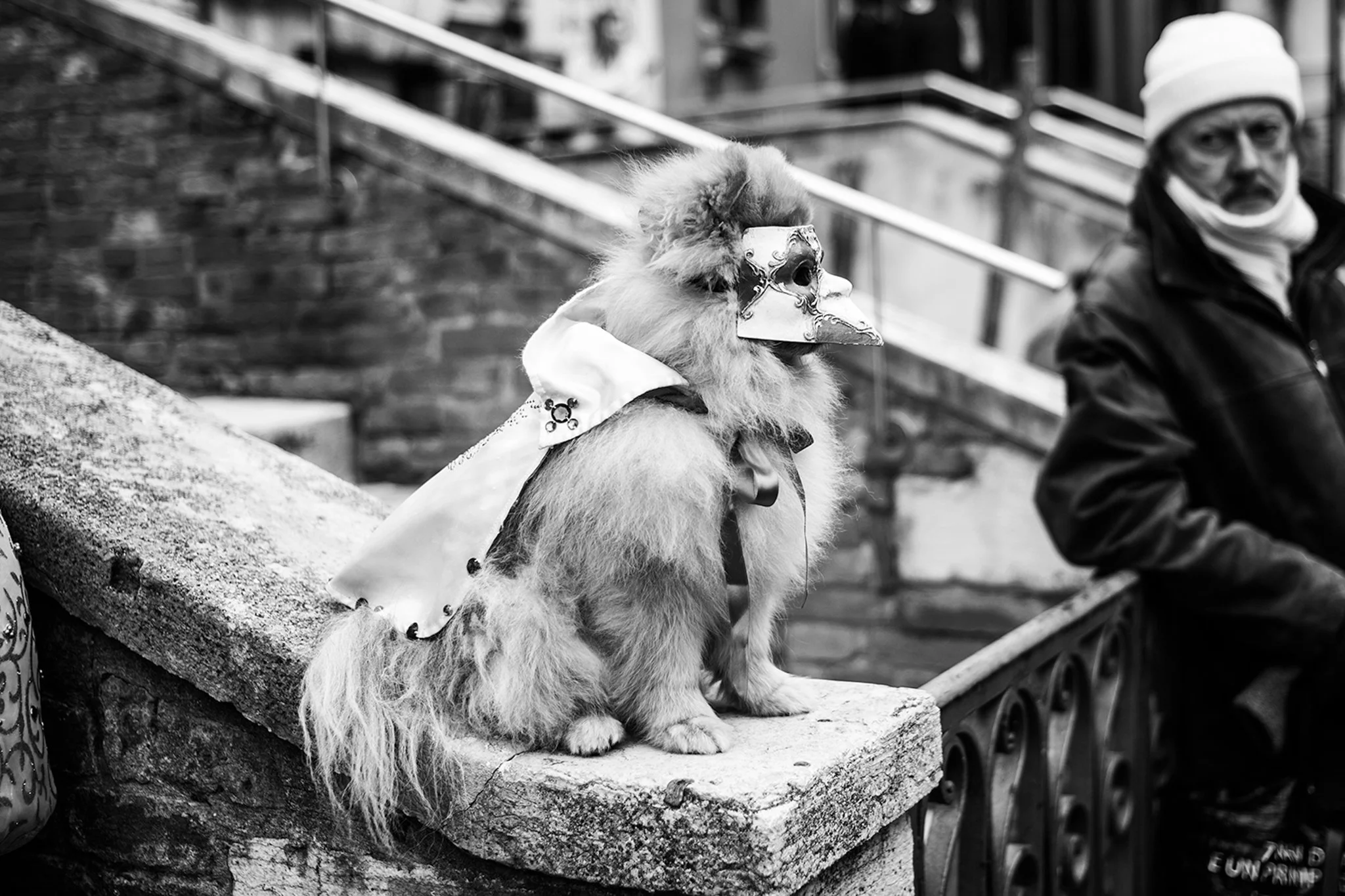 Venice_street_photography_workshop_0845.jpg