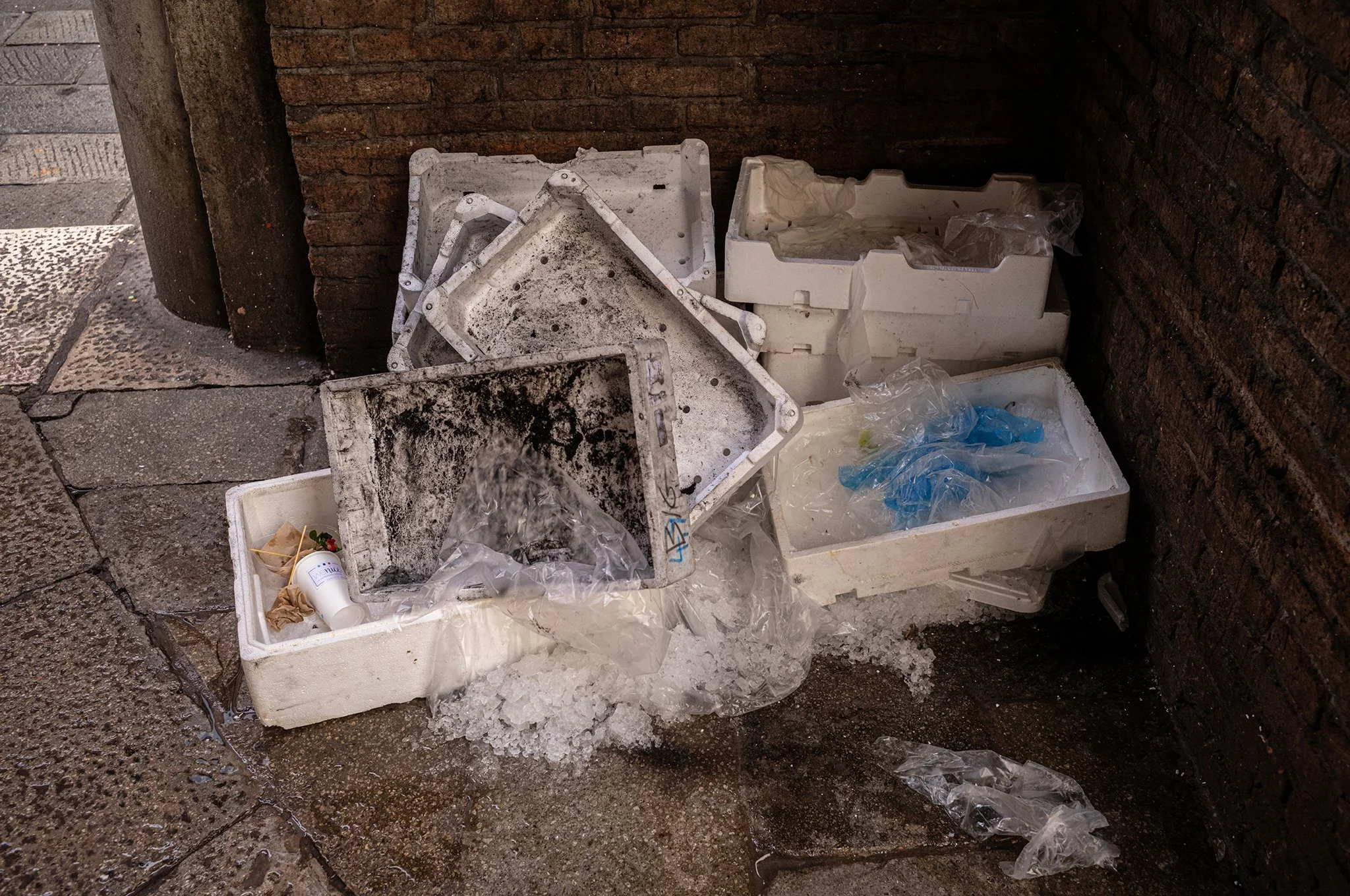 Venice_street_photography_workshyop_2024_1583.jpg