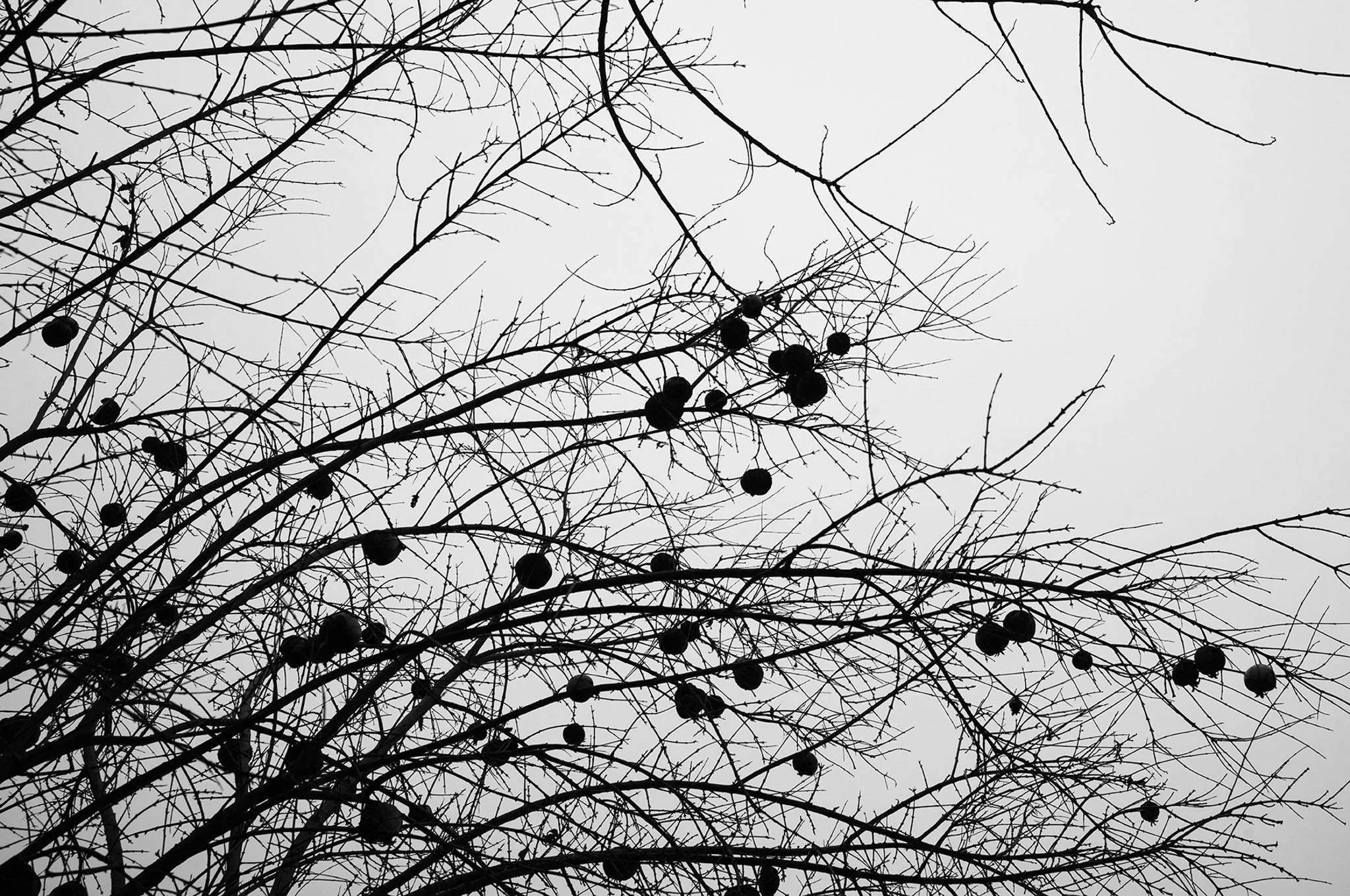 Venice_street_photography_workshyop_2024_1351.jpg