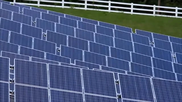 Blackout: Wamplers Green Sausage