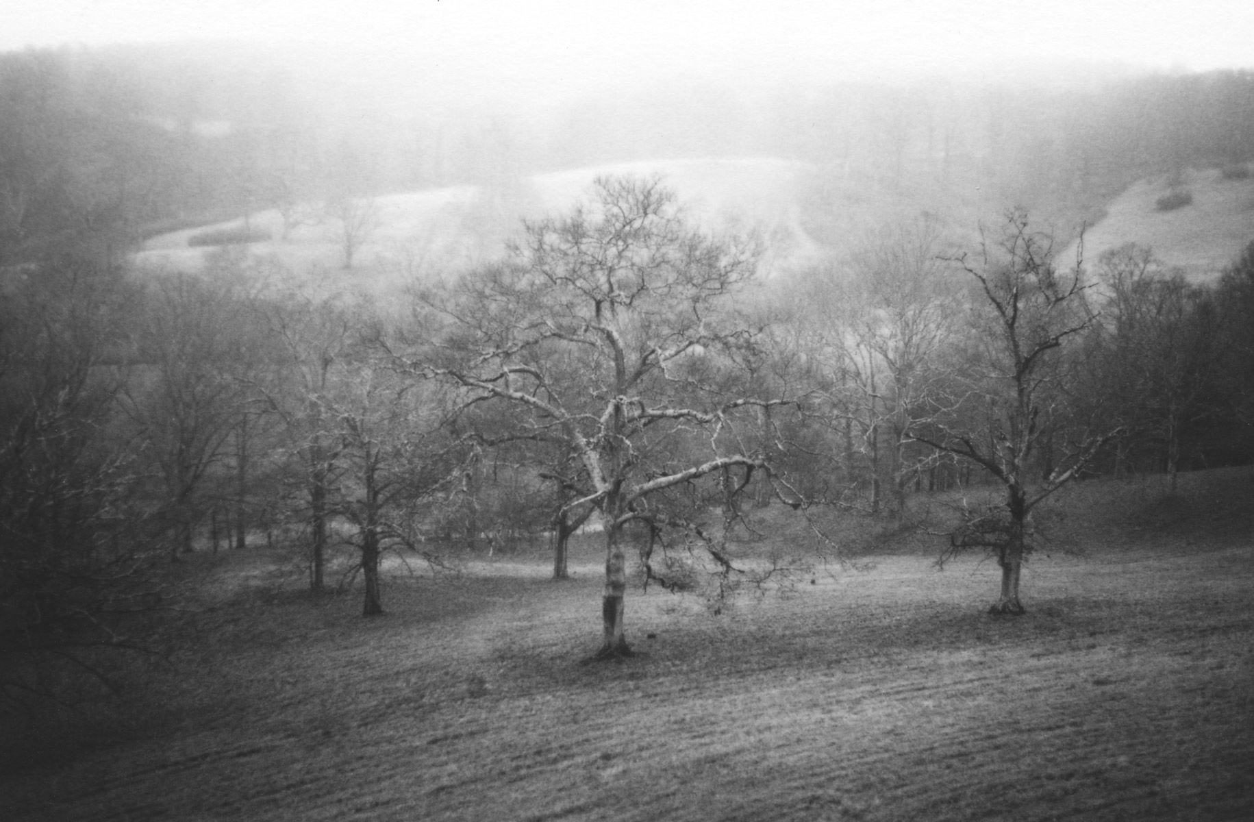 Biltmore Estate, 1994