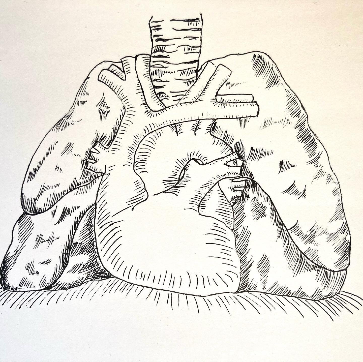 Found a folder of anatomy art I did in 1994/1995 for advertising. This was for a heart and lungs workshop I co-taught with Sara White when we had a business called Experiential Anatomy teaching Body-Mind Centering classes and workshops in the Boston 