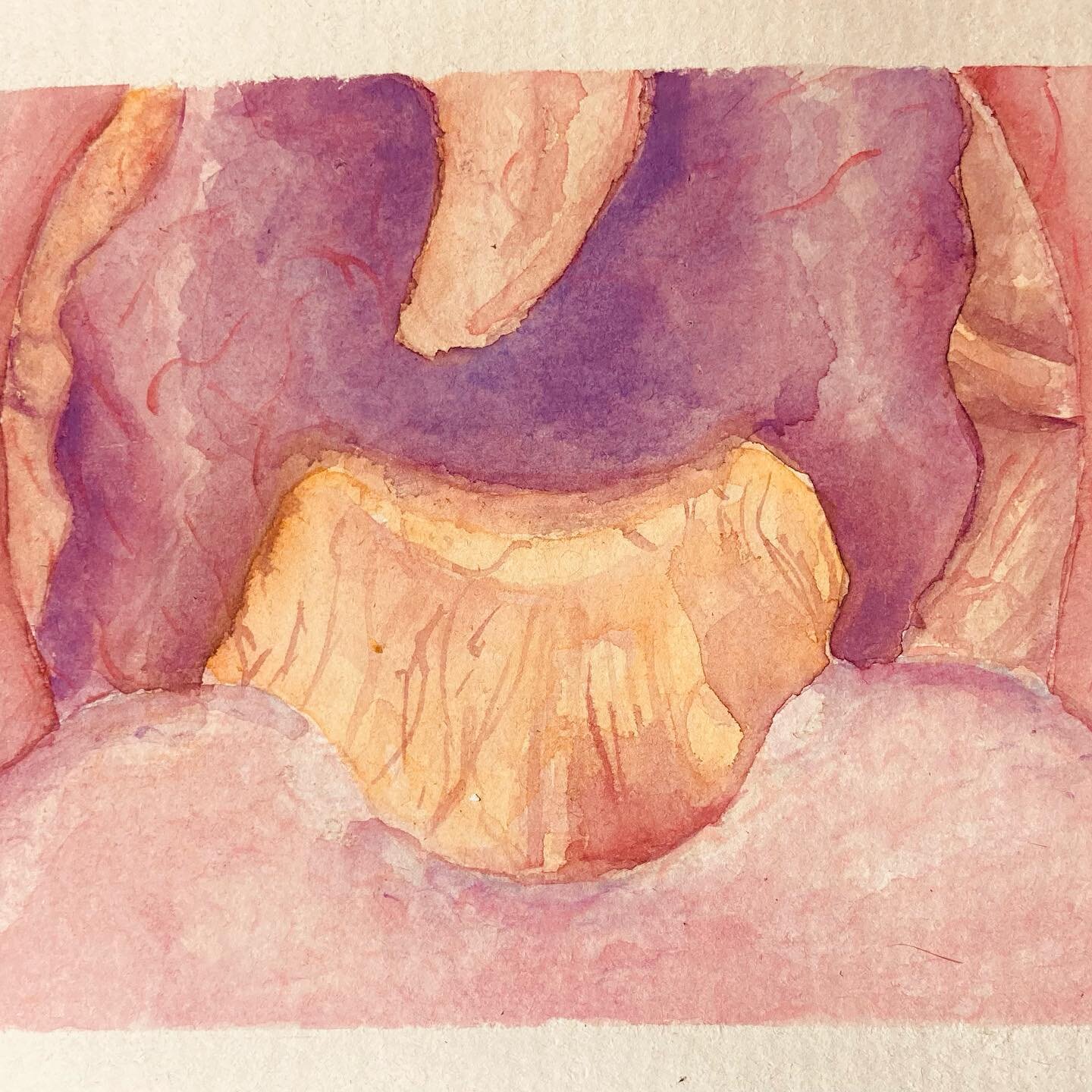 Epiglottis rising: A view of the back of the throat. The uvula hanging down, tongue in front, tonsils next to the inner checks at the sides, a particularly high rising epiglottis in the back of the throat.  the epiglottis opens and closes the larynge