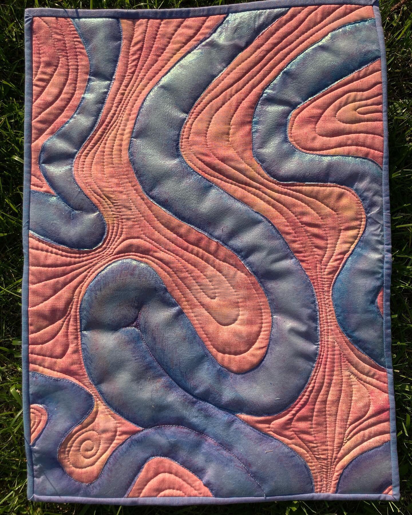 Small Intestine quilt: Assimilation, a flow of nutrients across membranes, the currents of the meandering stream, the gurgling brook, the sliding tube #anatomyart #artquilt #bodymindcentering #embodiedanatomy #thebodyminddance #somaticmovementeducati
