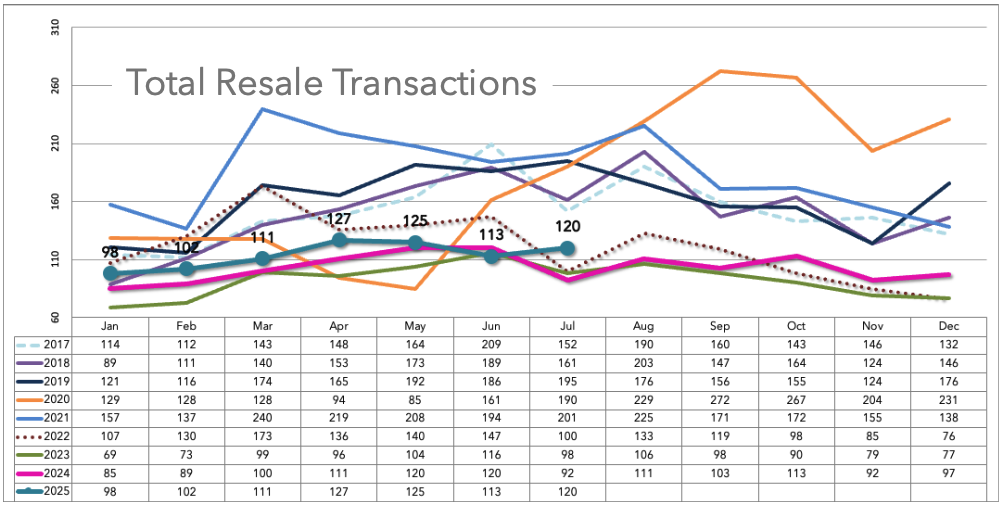 August 2025 Market Update 