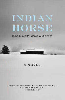 IndianHorse.jpg