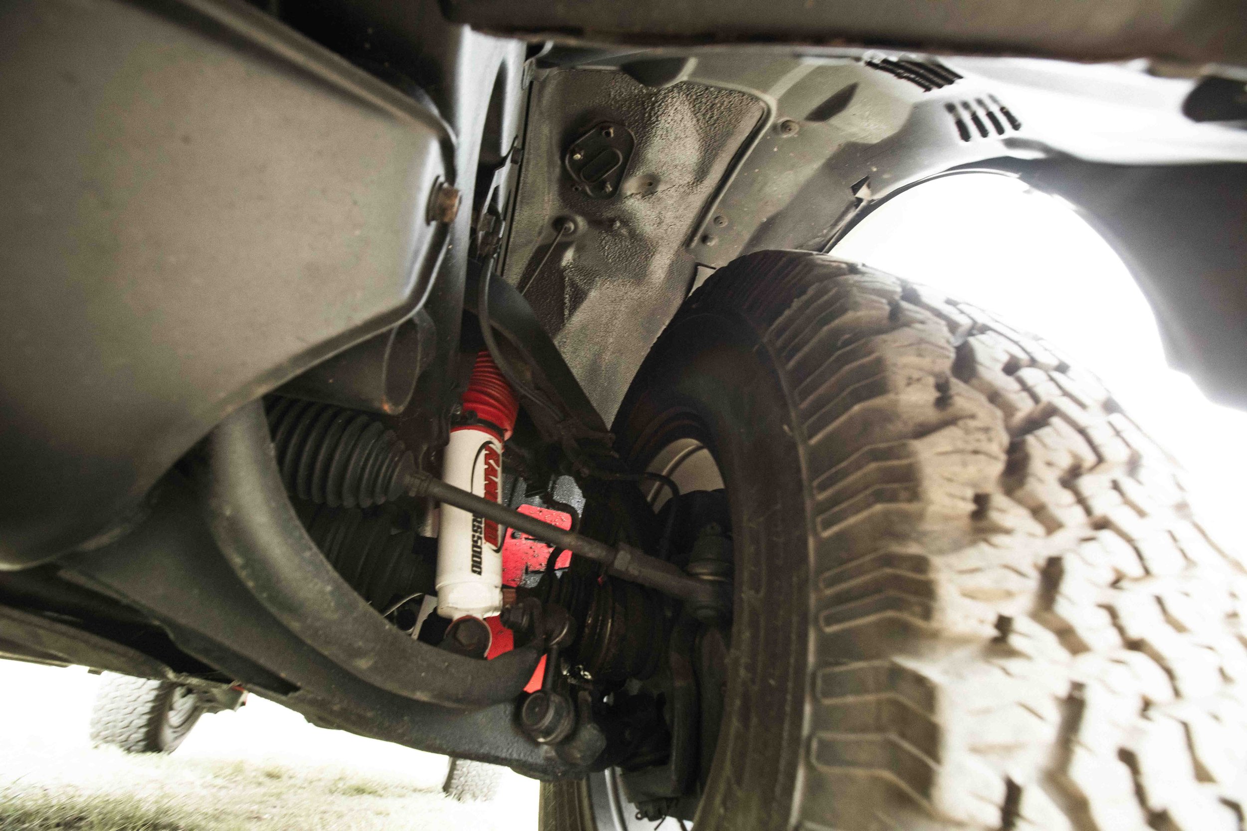 Scarab (Web) (48 of 50).jpg