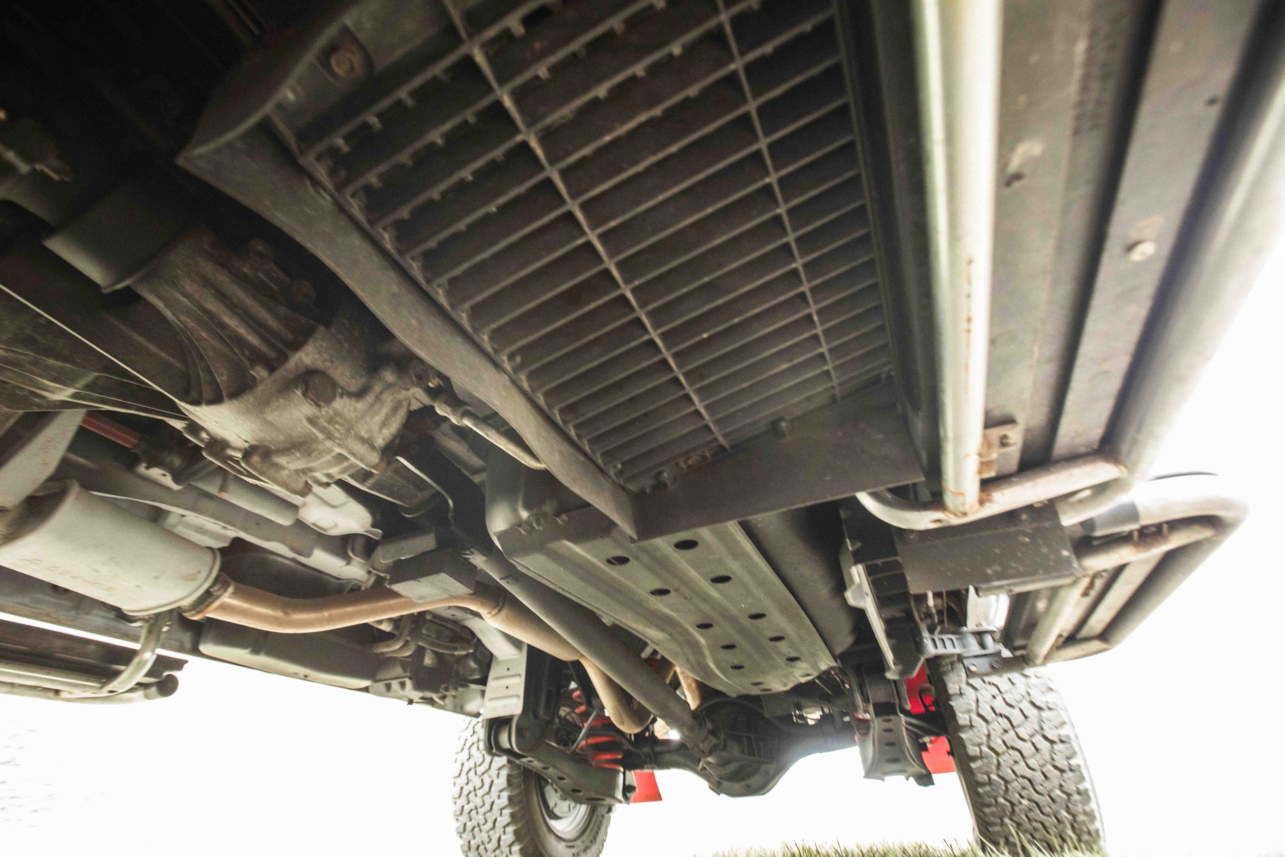 Scarab (Web) (50 of 50).jpg