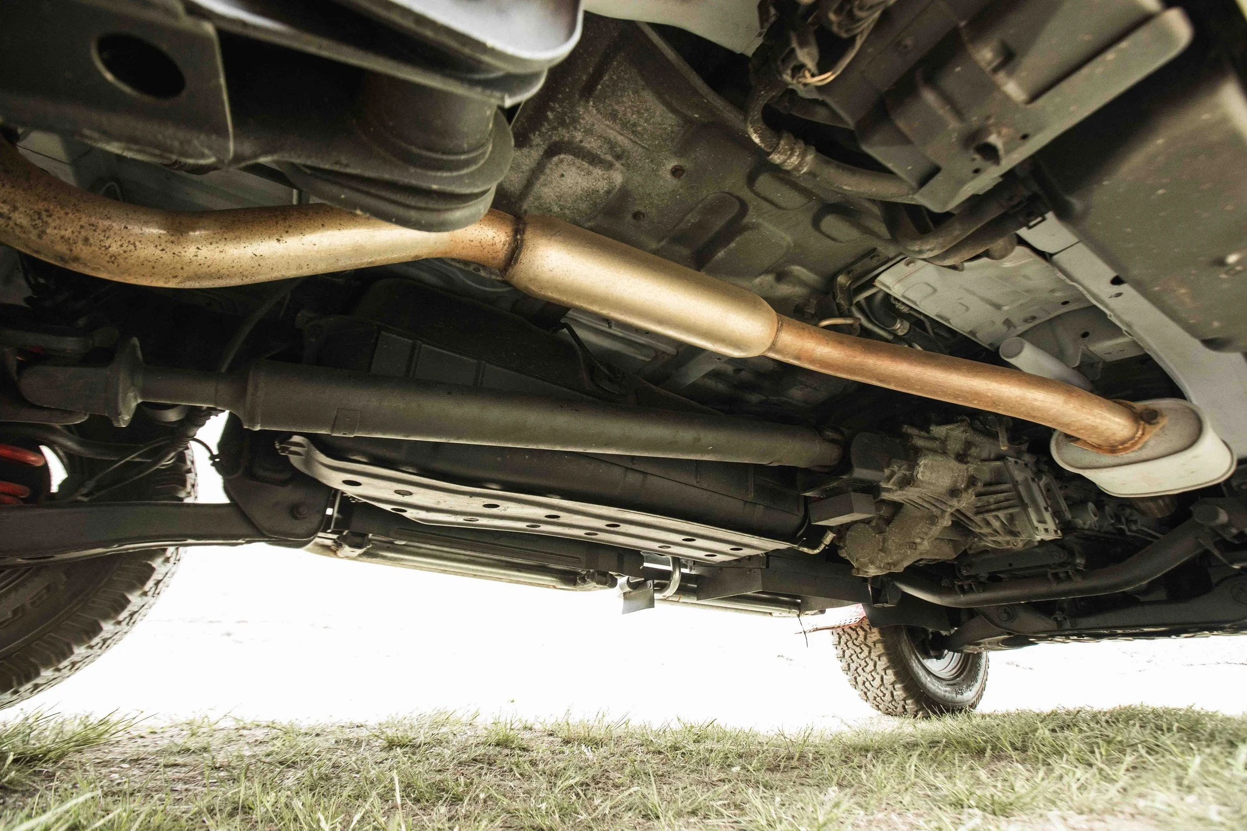 Scarab (Web) (46 of 50).jpg