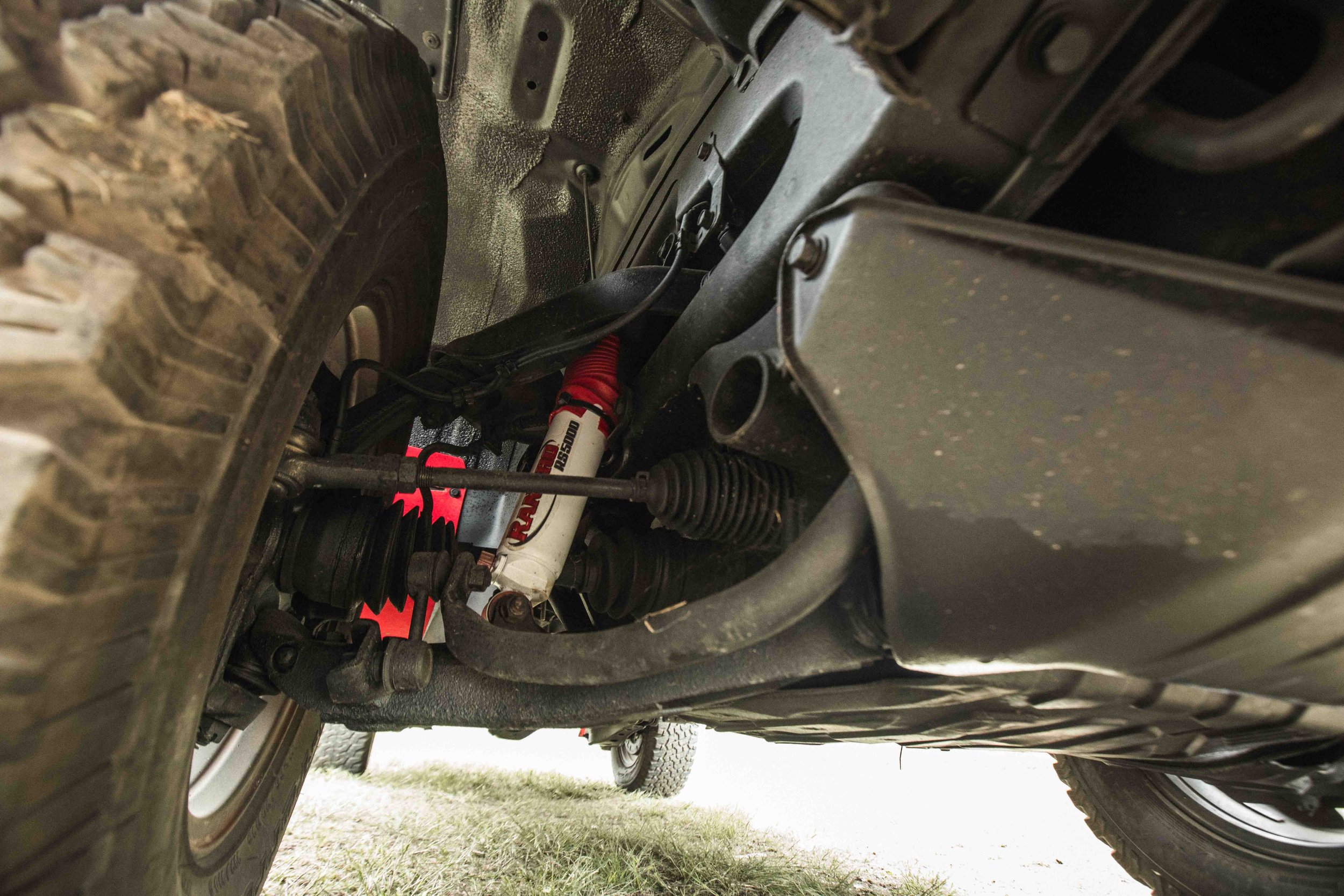 Scarab (Web) (47 of 50).jpg