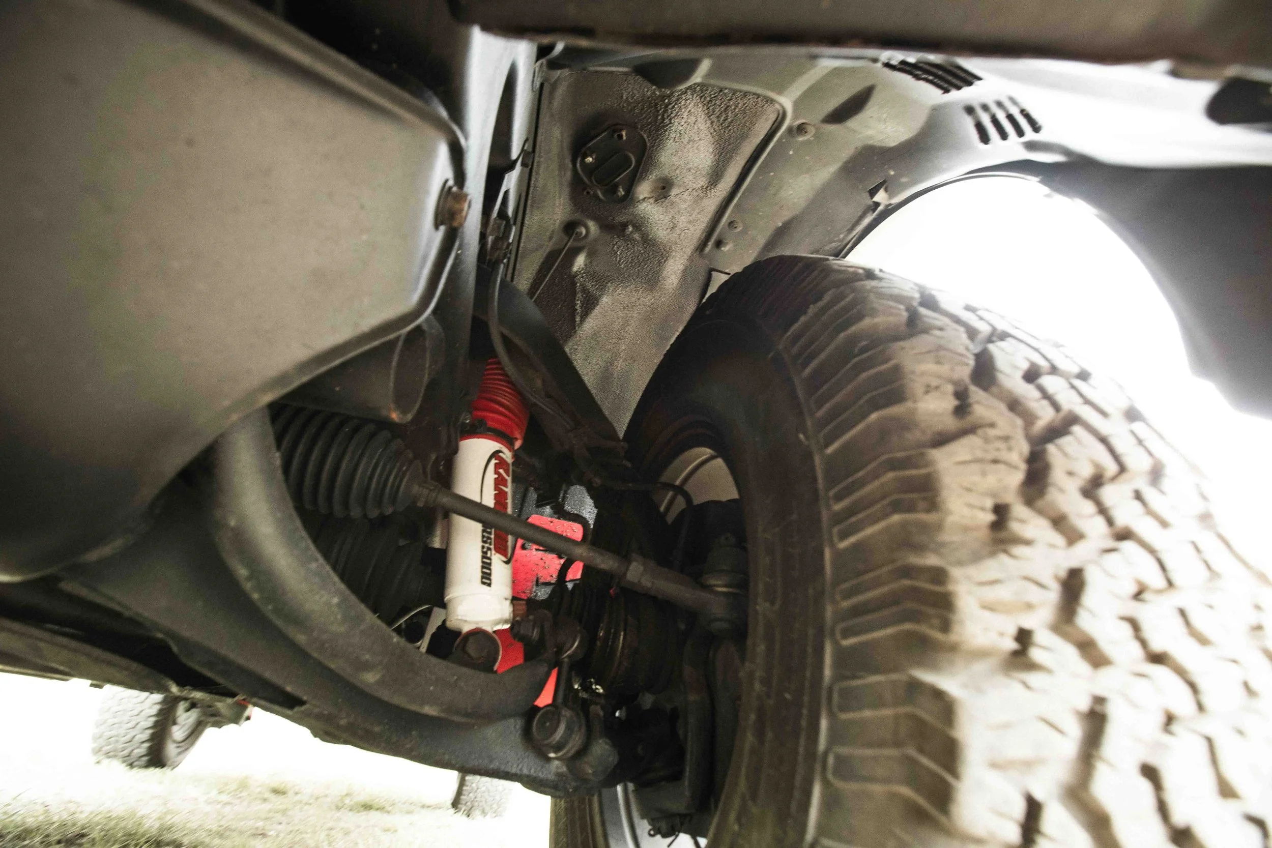 Scarab (Web) (48 of 50).jpg