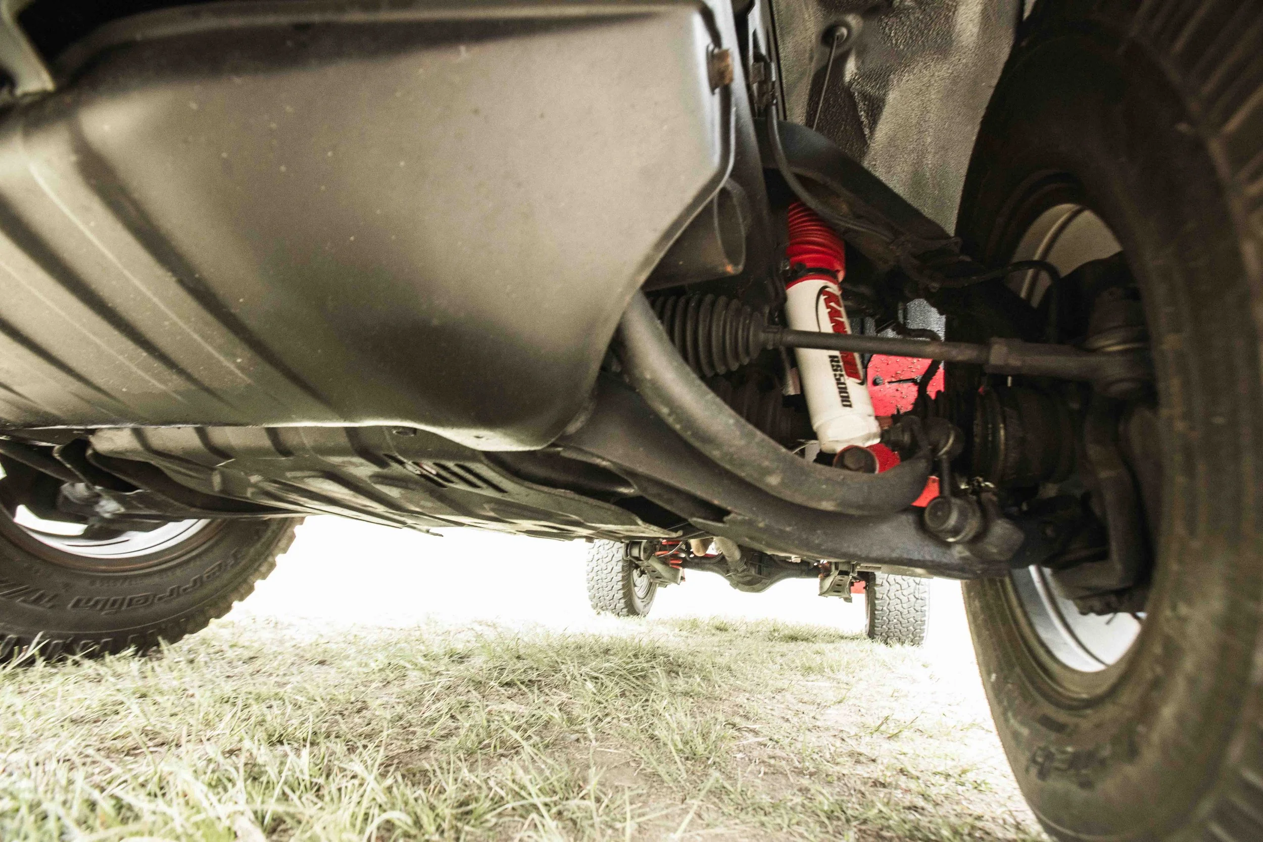 Scarab (Web) (49 of 50).jpg