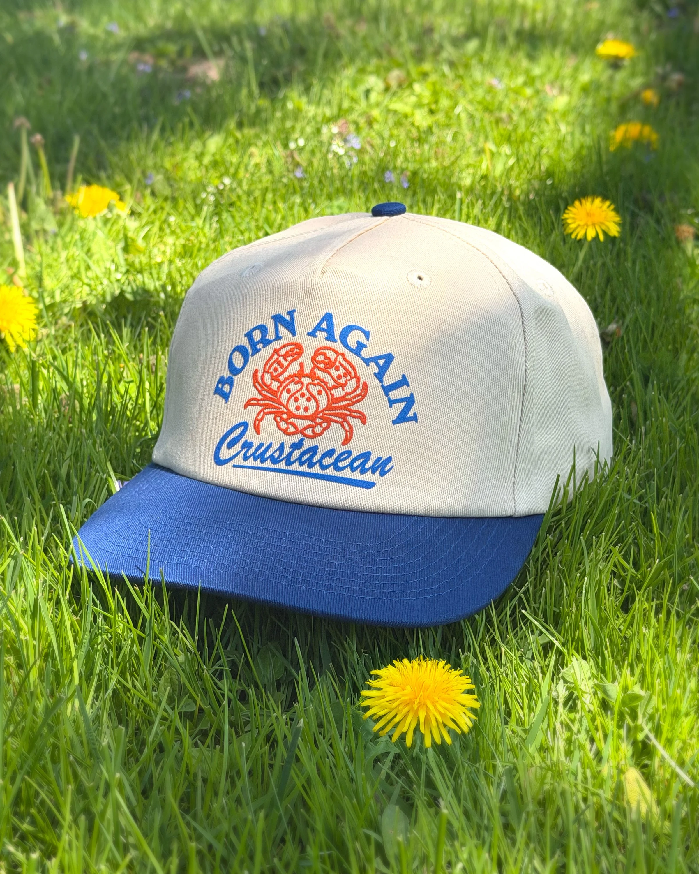BornAgainCrustacean_hat2.jpg