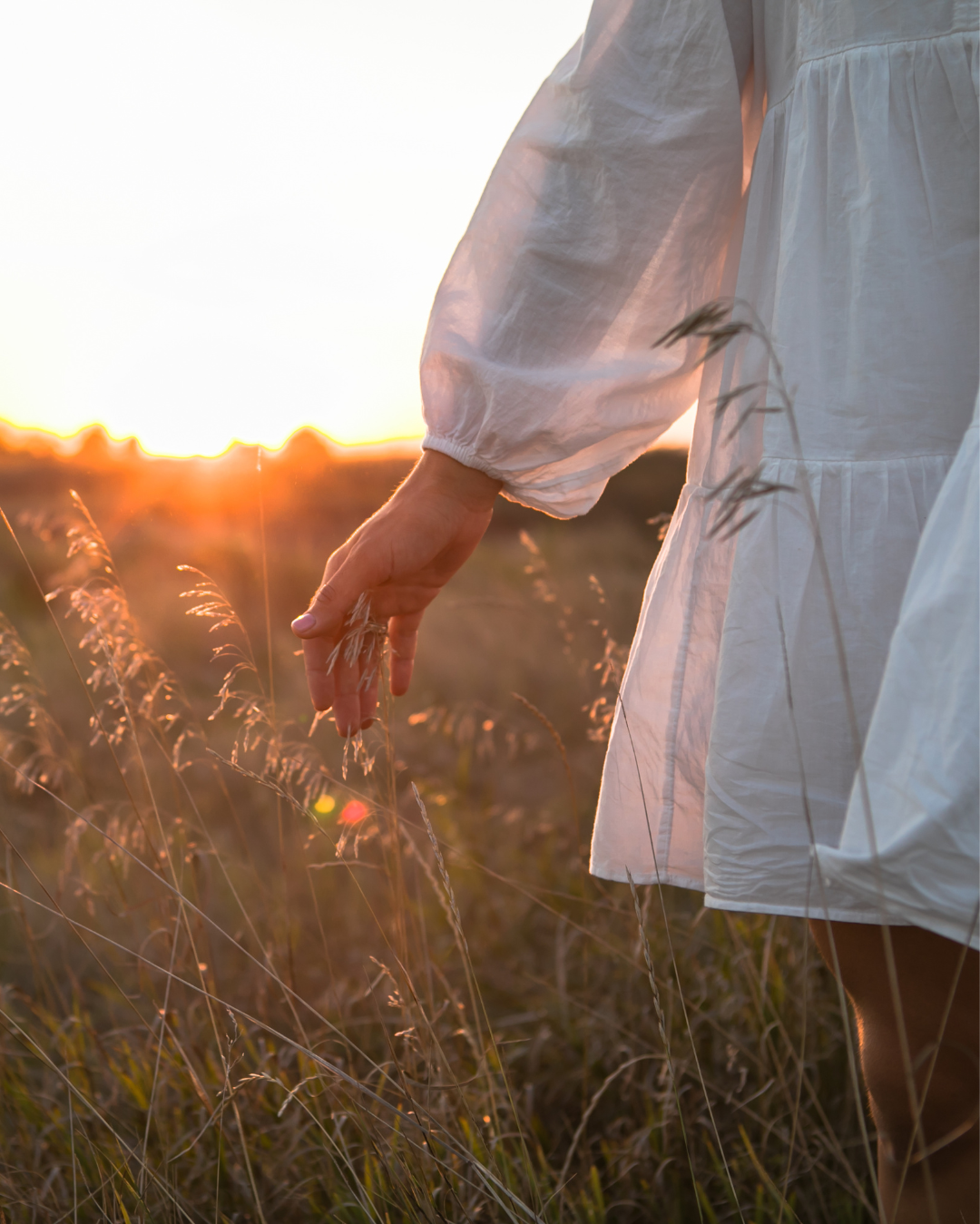 A person wearing a white dress standing in a field at sunset, gently touching tall grass.