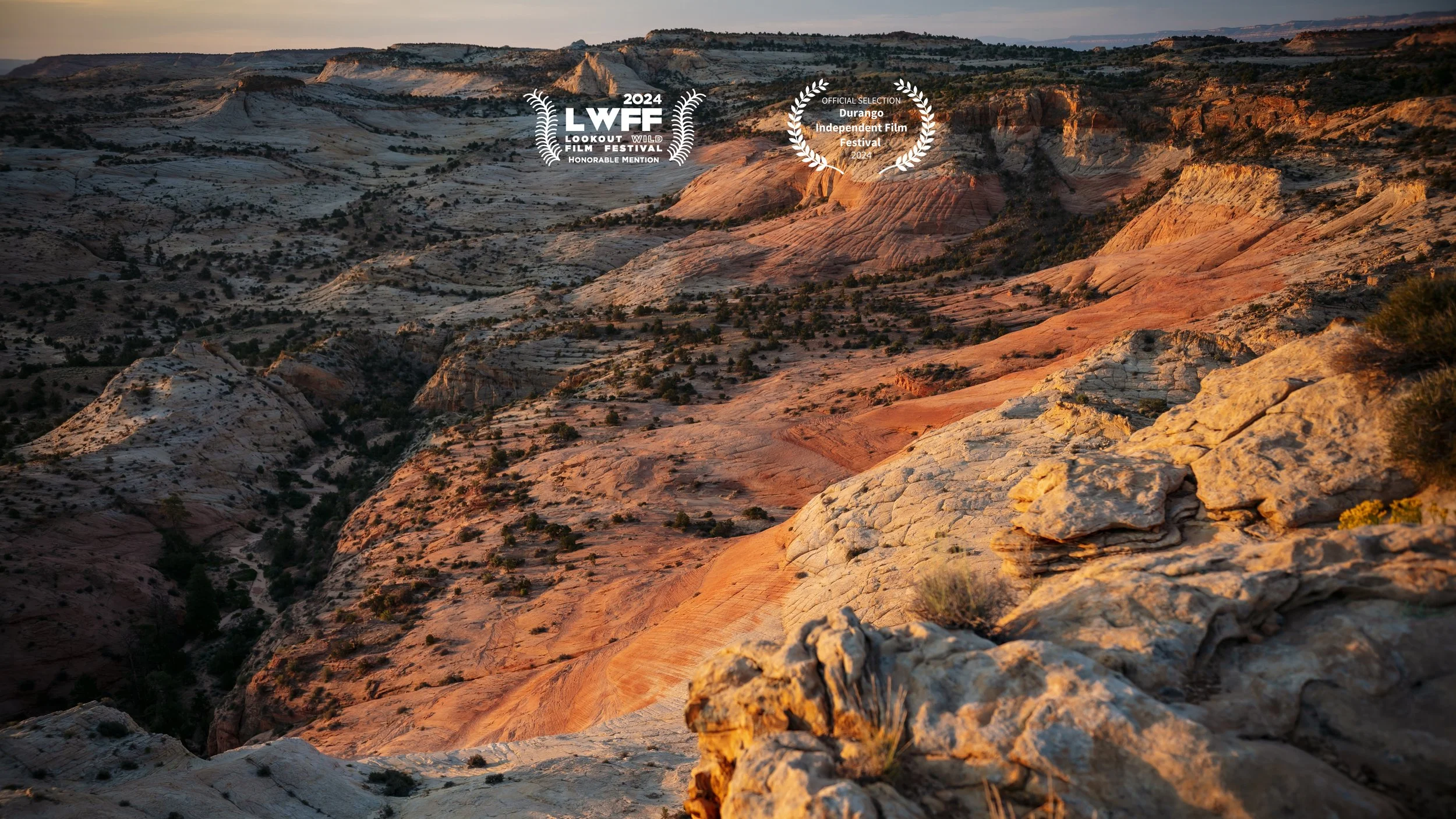 MM_LANDINGPAGE1_LOREALS_V1_TK_12182023 copy.jpg