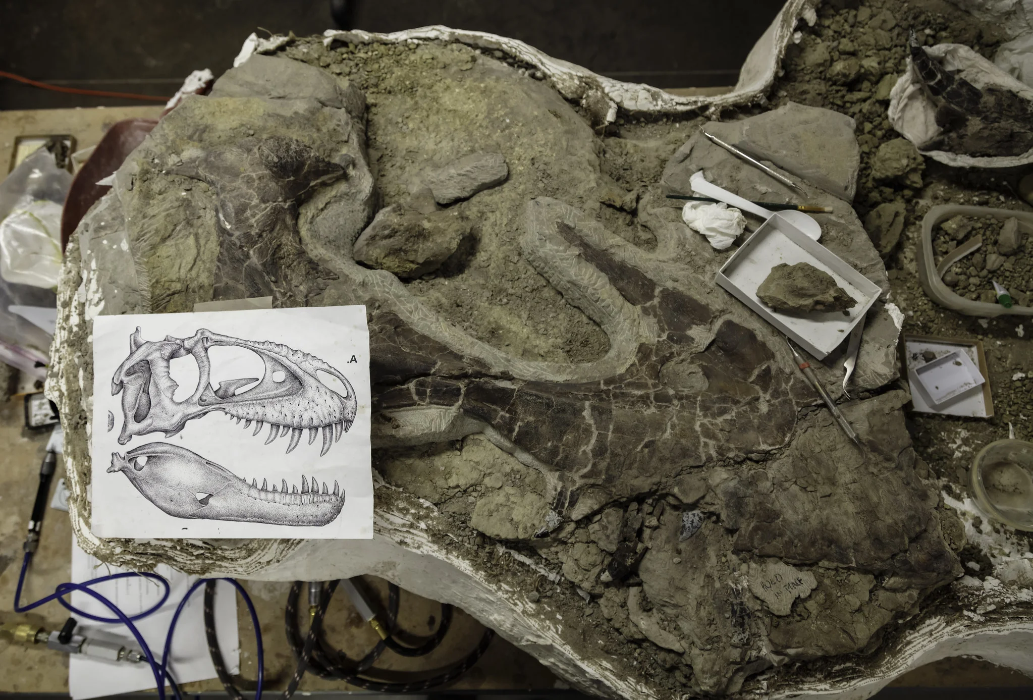 An Afternoon with a Paleontologist // Inside Utah 7 Production - July 2019