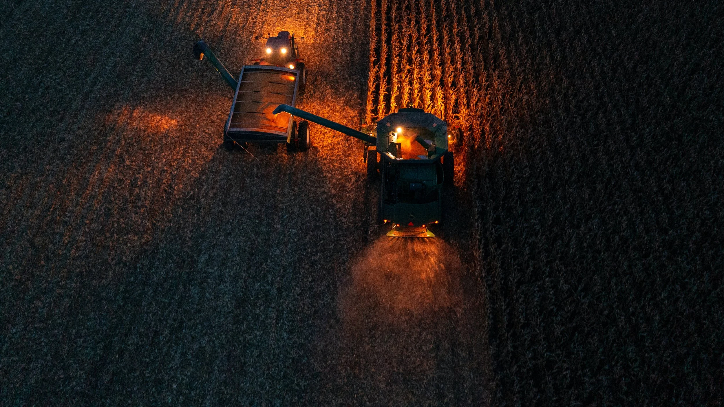 TWF_2023LANDINGPAGE_BG1_DRAFT1_TK_09262023 copy.jpg