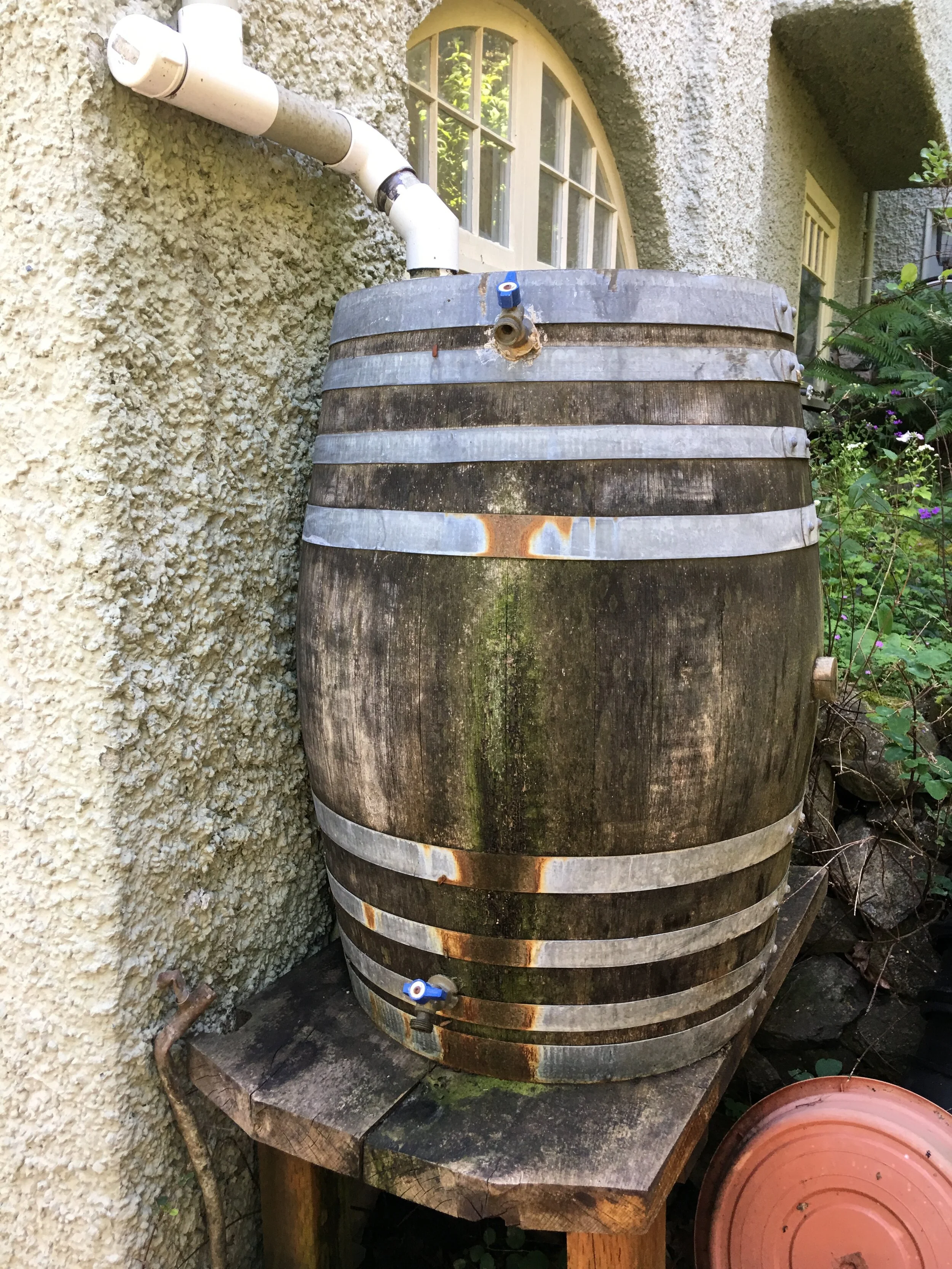 Solar panels and water capture, two aspects of sustainable design.