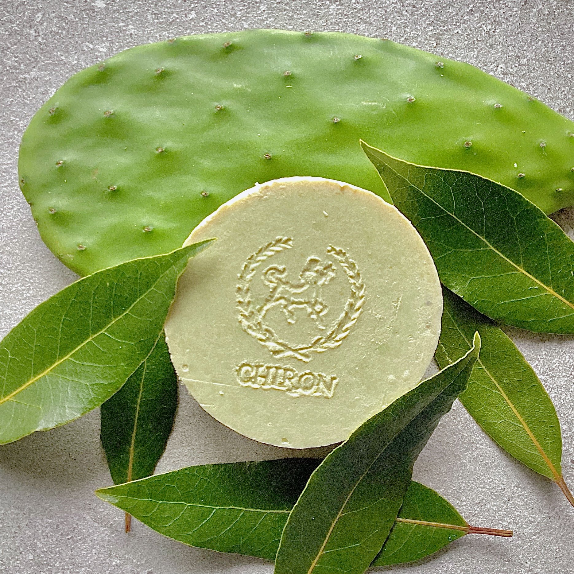cactus bay leaf shampoo soap copy.jpg