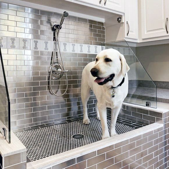 large-dog-washing-station-with-dog-bone-pattern-wall-tile.jpeg