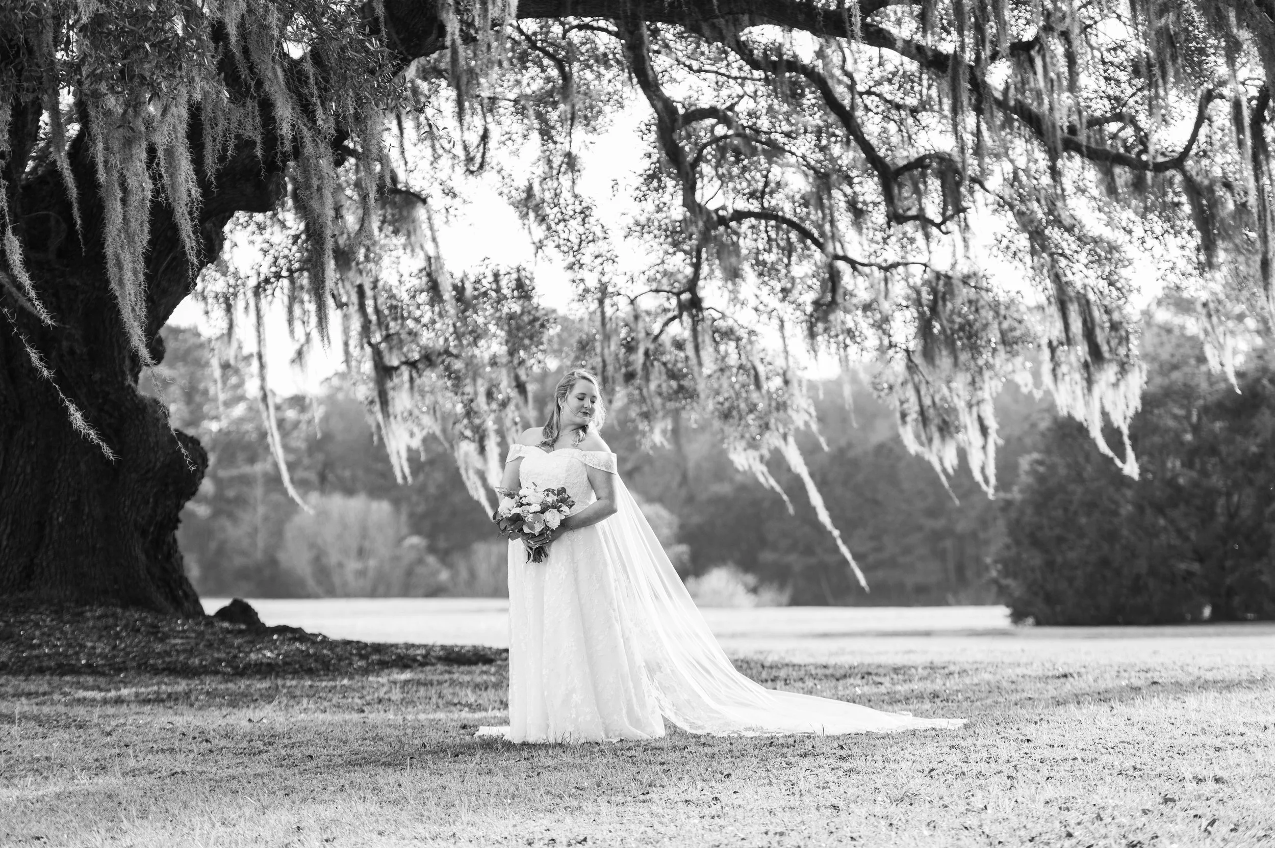 black and white bridal portrait under a live oak at Wingate Place in Charleston, SC