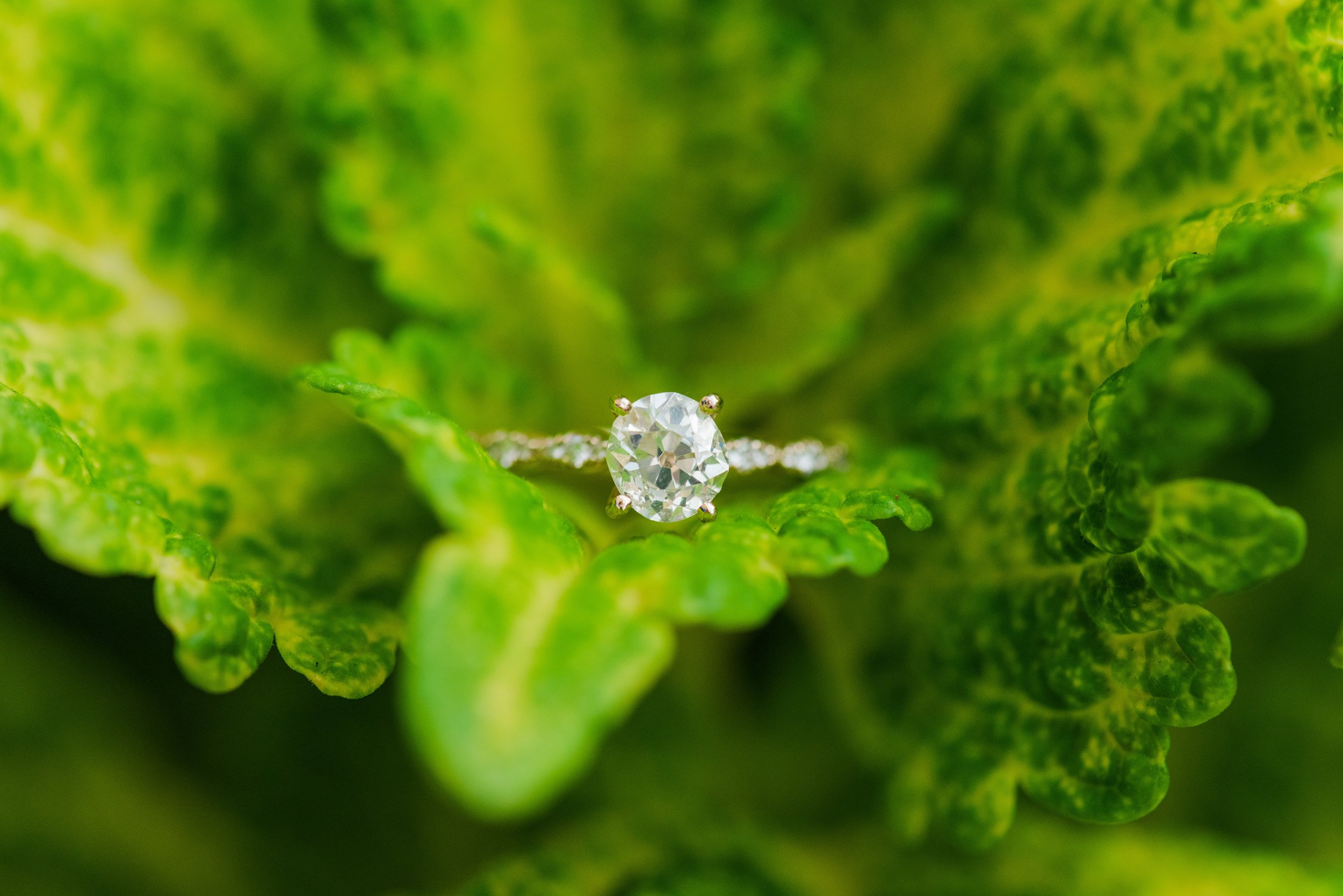 Ring Shot | Kimberly Cauble Photography