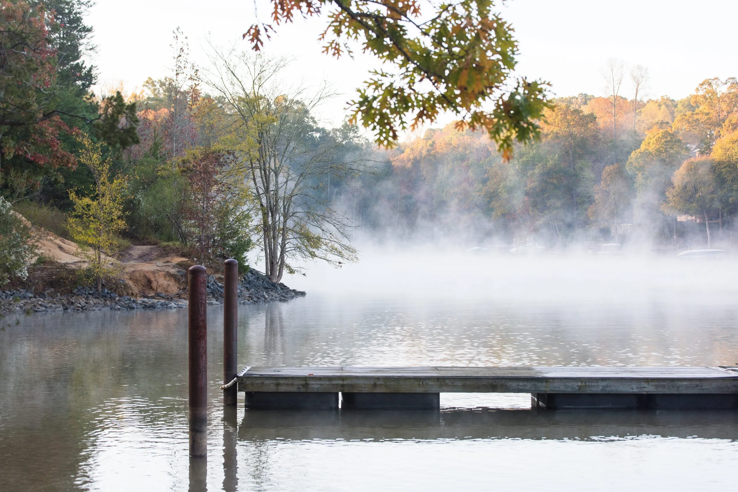 Fog over Lake Wylie | McDowell Nature Preserve