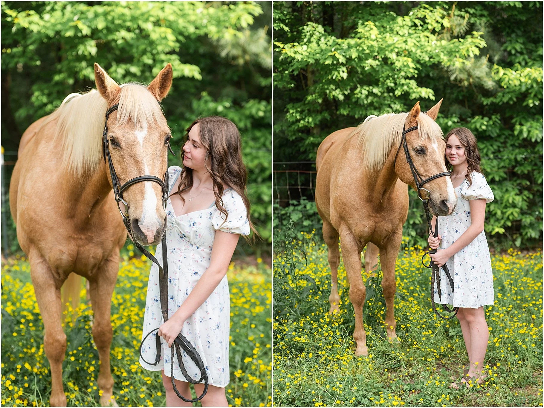 Little Creek Stables | Clover, SC Portrait Photographer