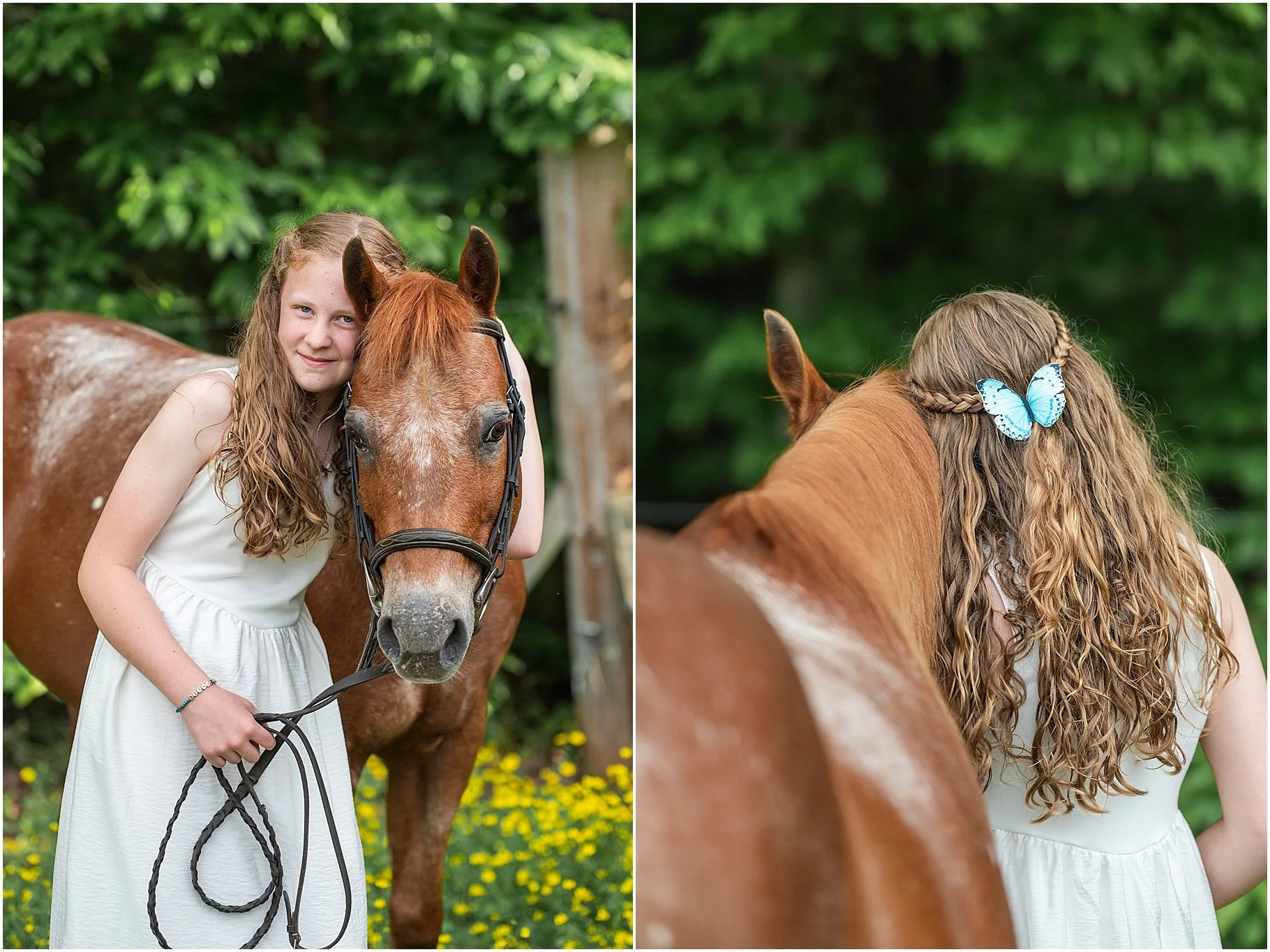 Little Creek Stables | Horse Photo Session