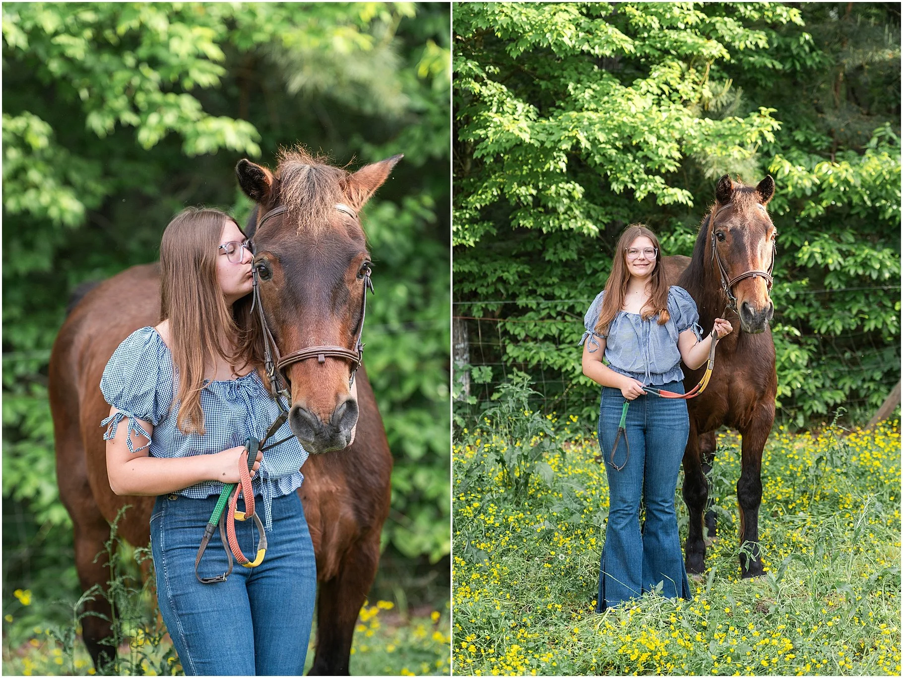 Horse Portrait Session | Little Creek Stables, Clover SC