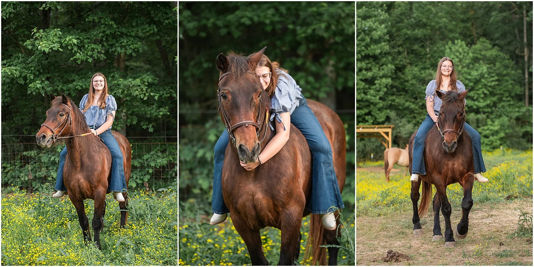 Little Creek Stables | Horse Photo Session