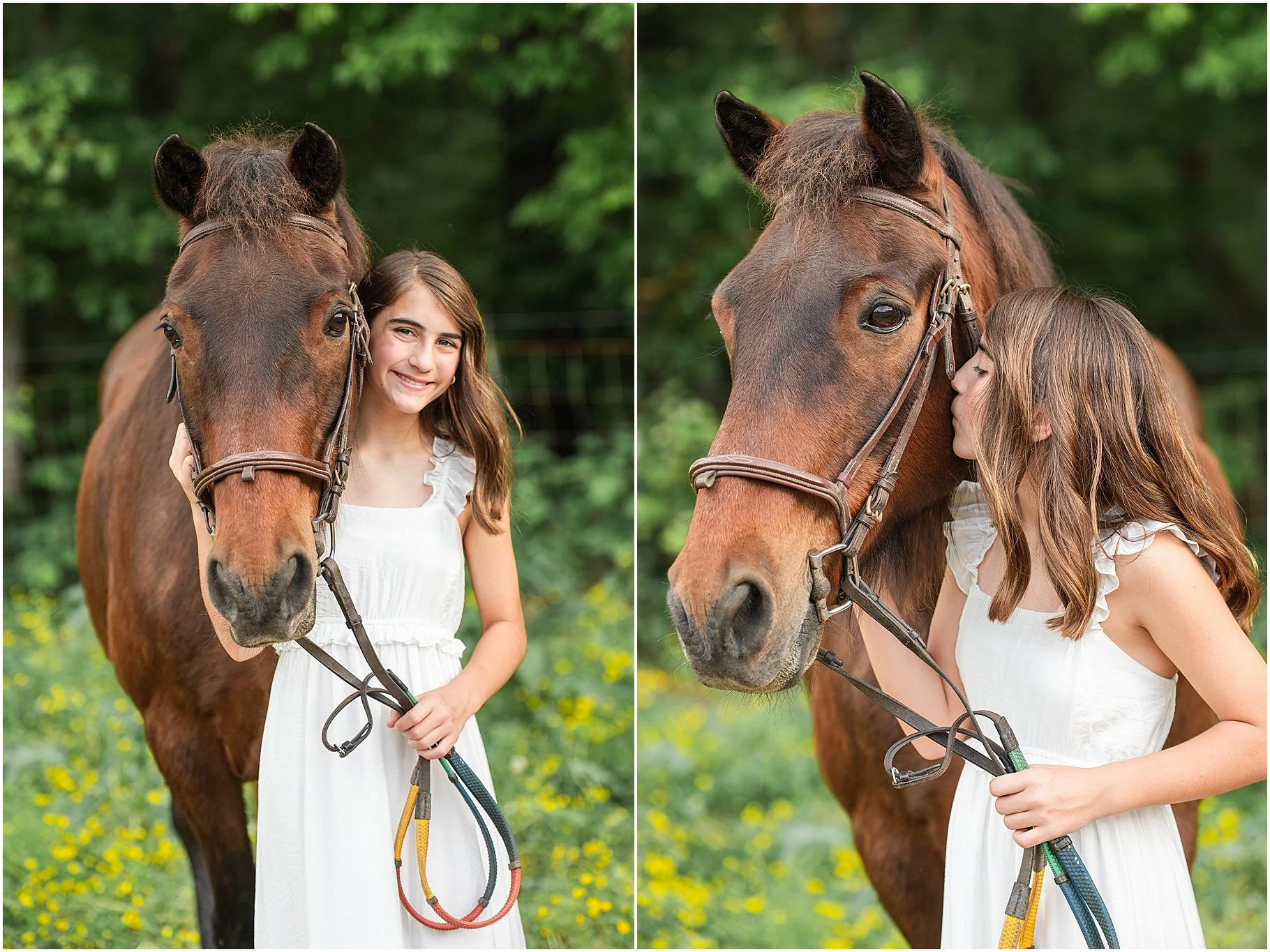 Little Creek Stables, Clover SC | Horse Portrait Session