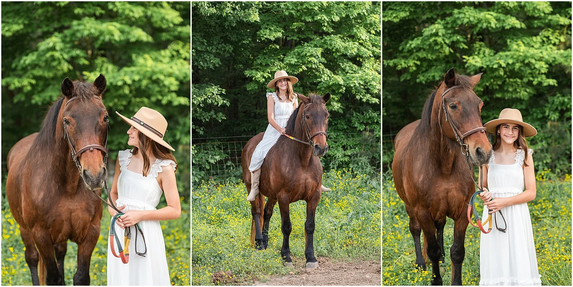 Little Creek Stables | Horse Photo Session