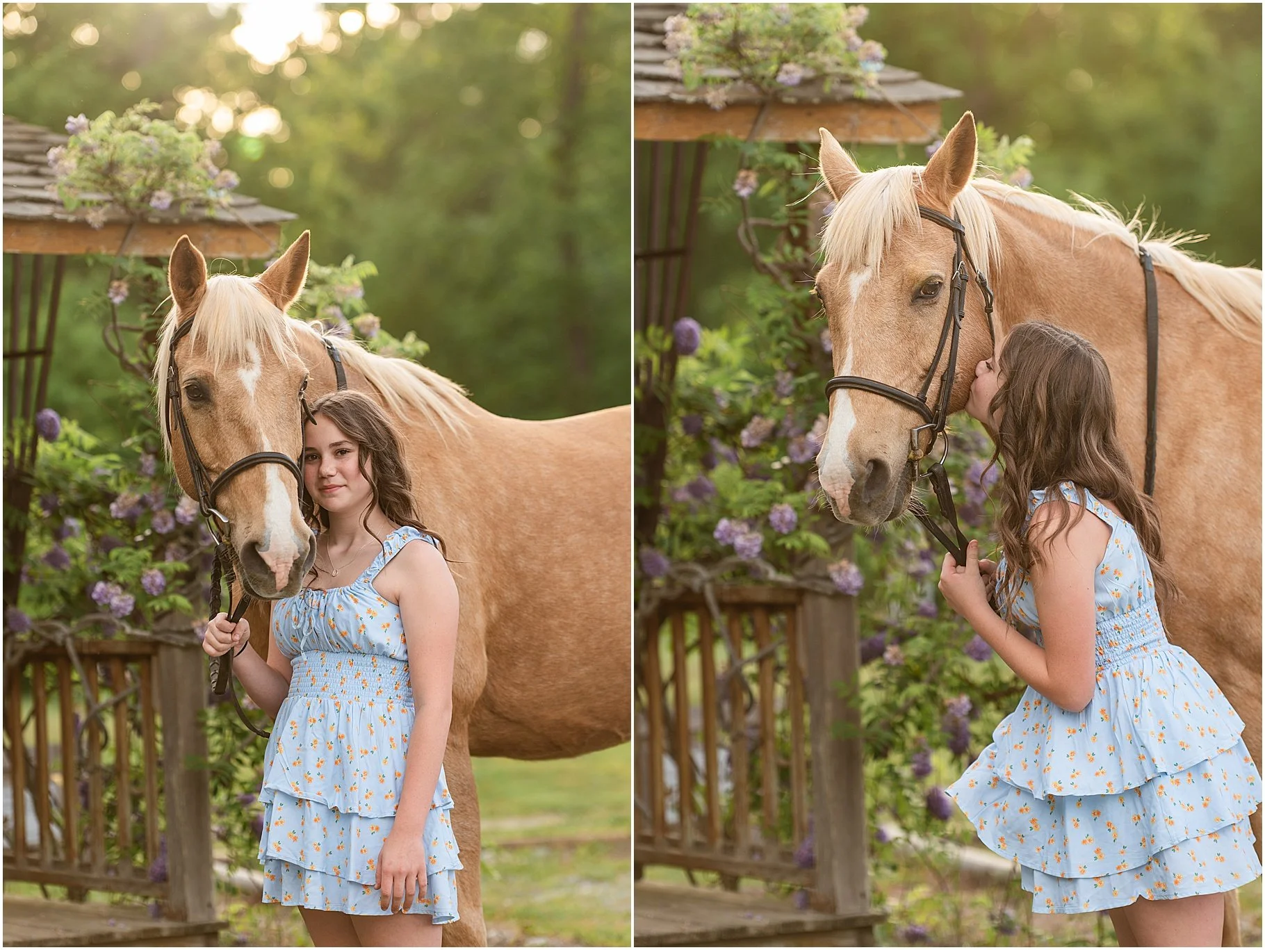 Clover Portrait Photographer | Horse Portrait Session
