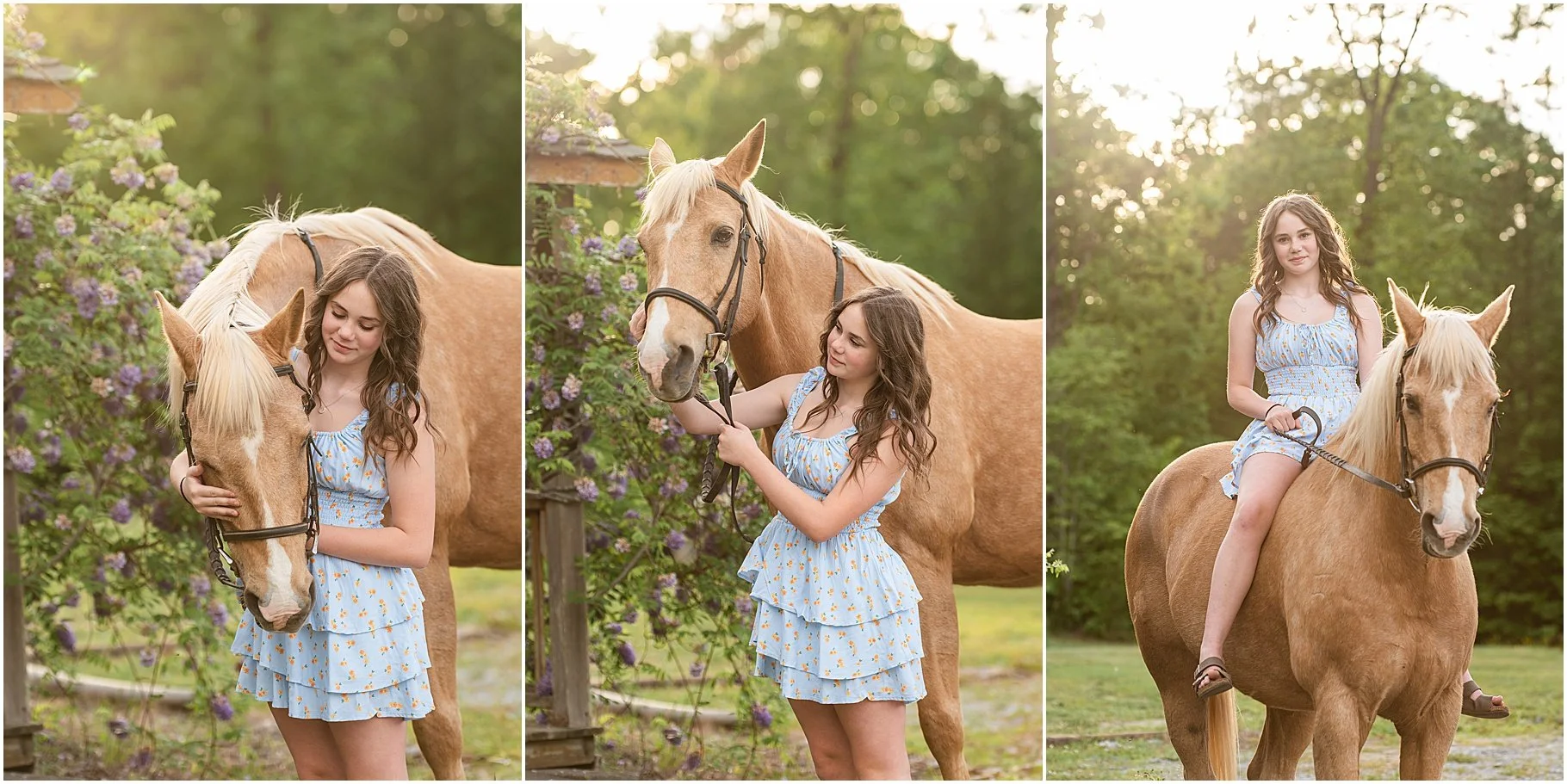 Little Creek Stables | Horse Photo Session