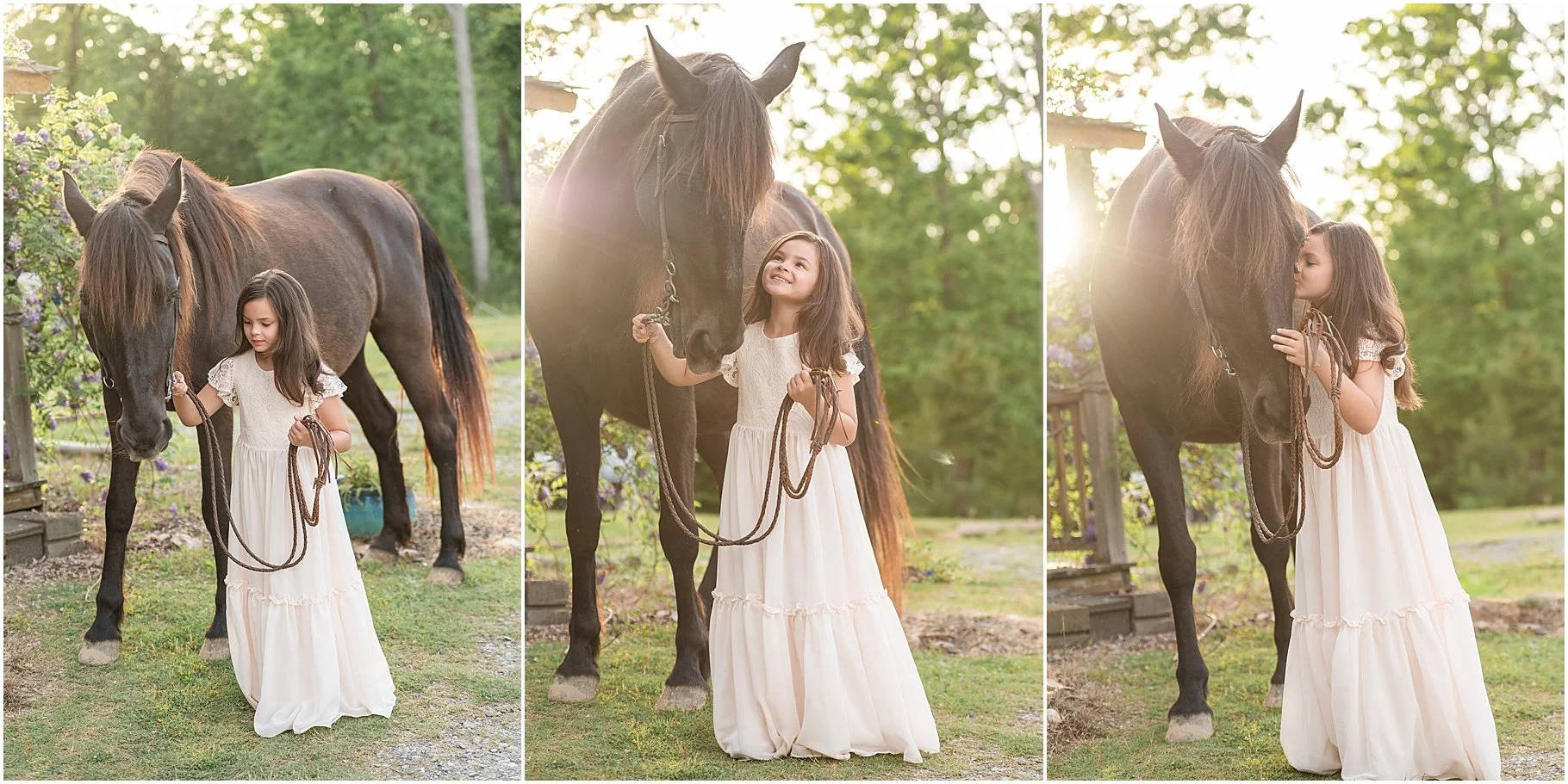 Little Creek Stables | Horse Photo Session