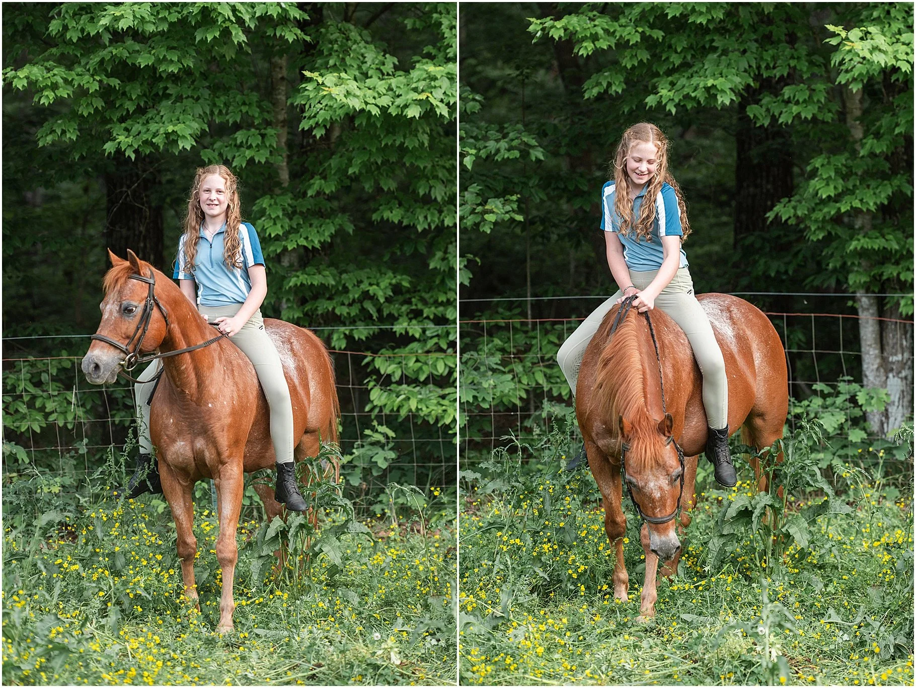 Little Creek Stables | Horse Photo Session