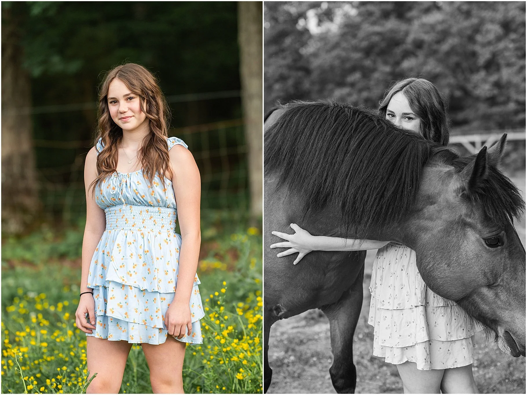 Little Creek Stables | Horse Photo Session